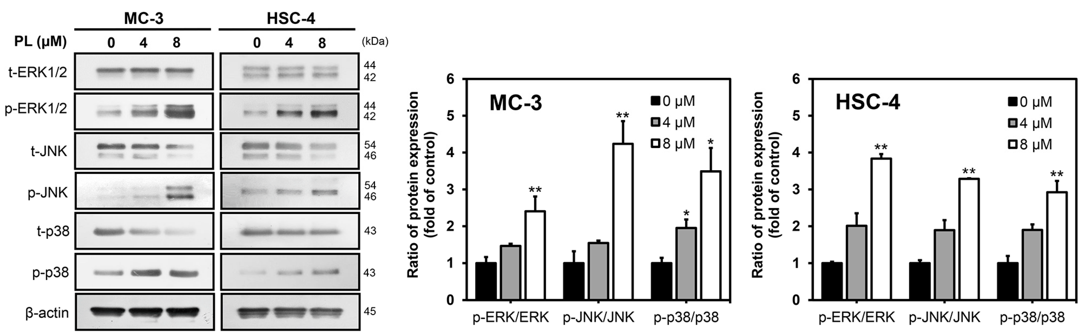 Biomedicines 11 02442 g003