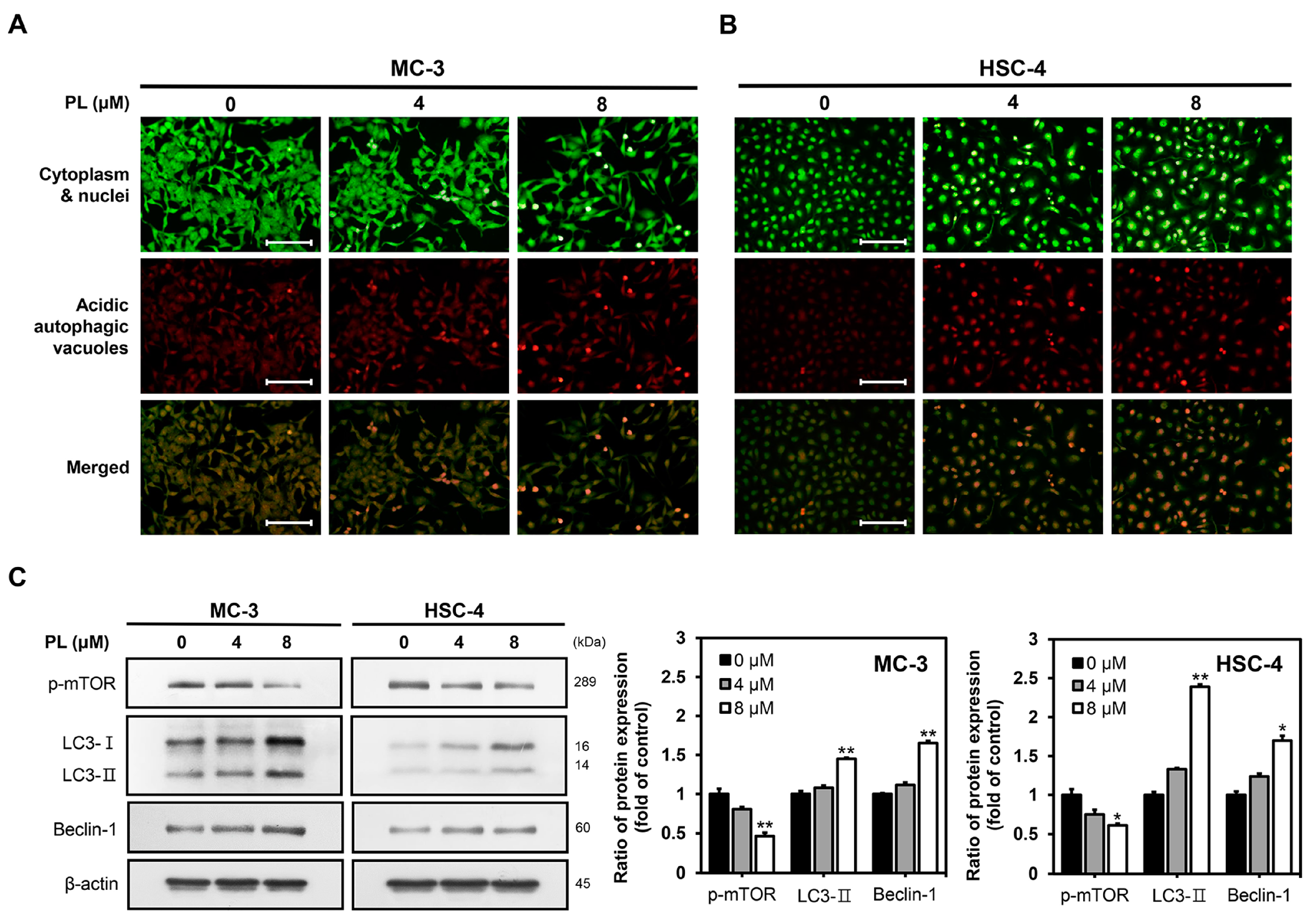 Biomedicines 11 02442 g004