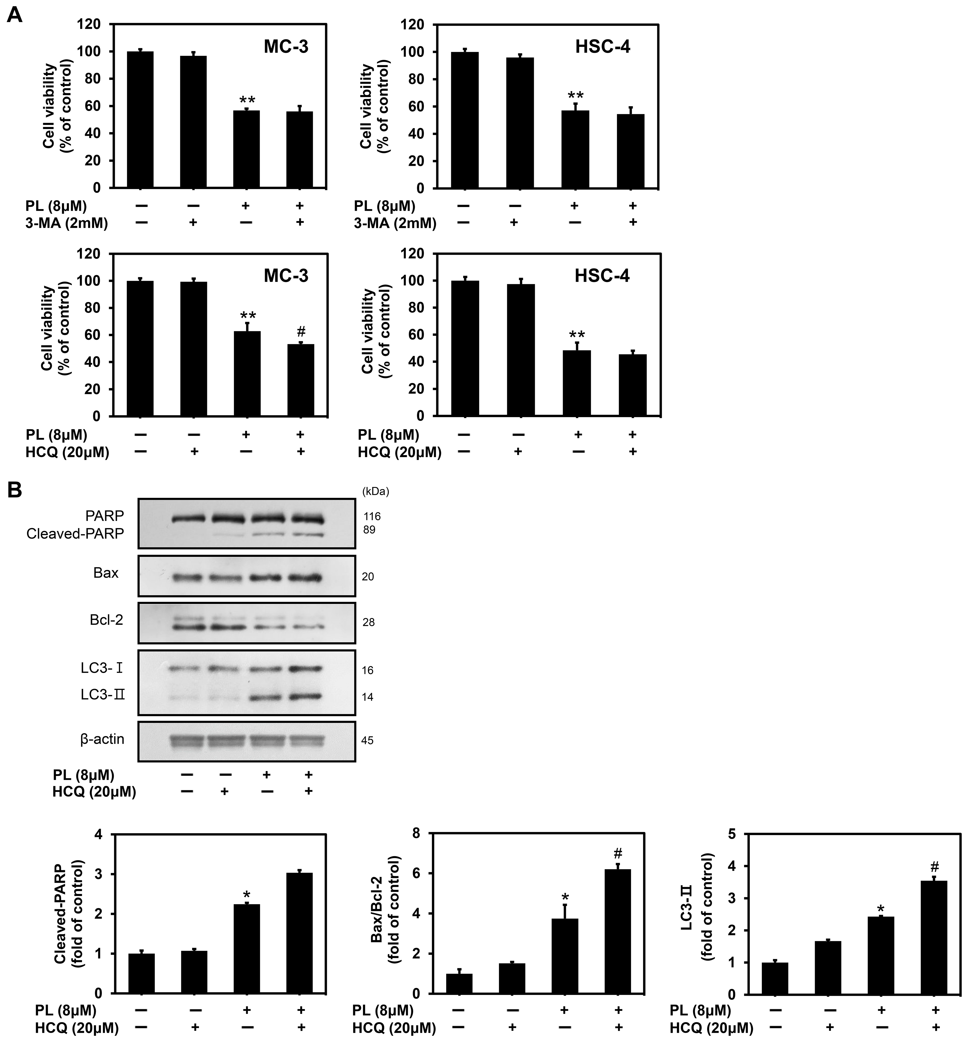 Biomedicines 11 02442 g005