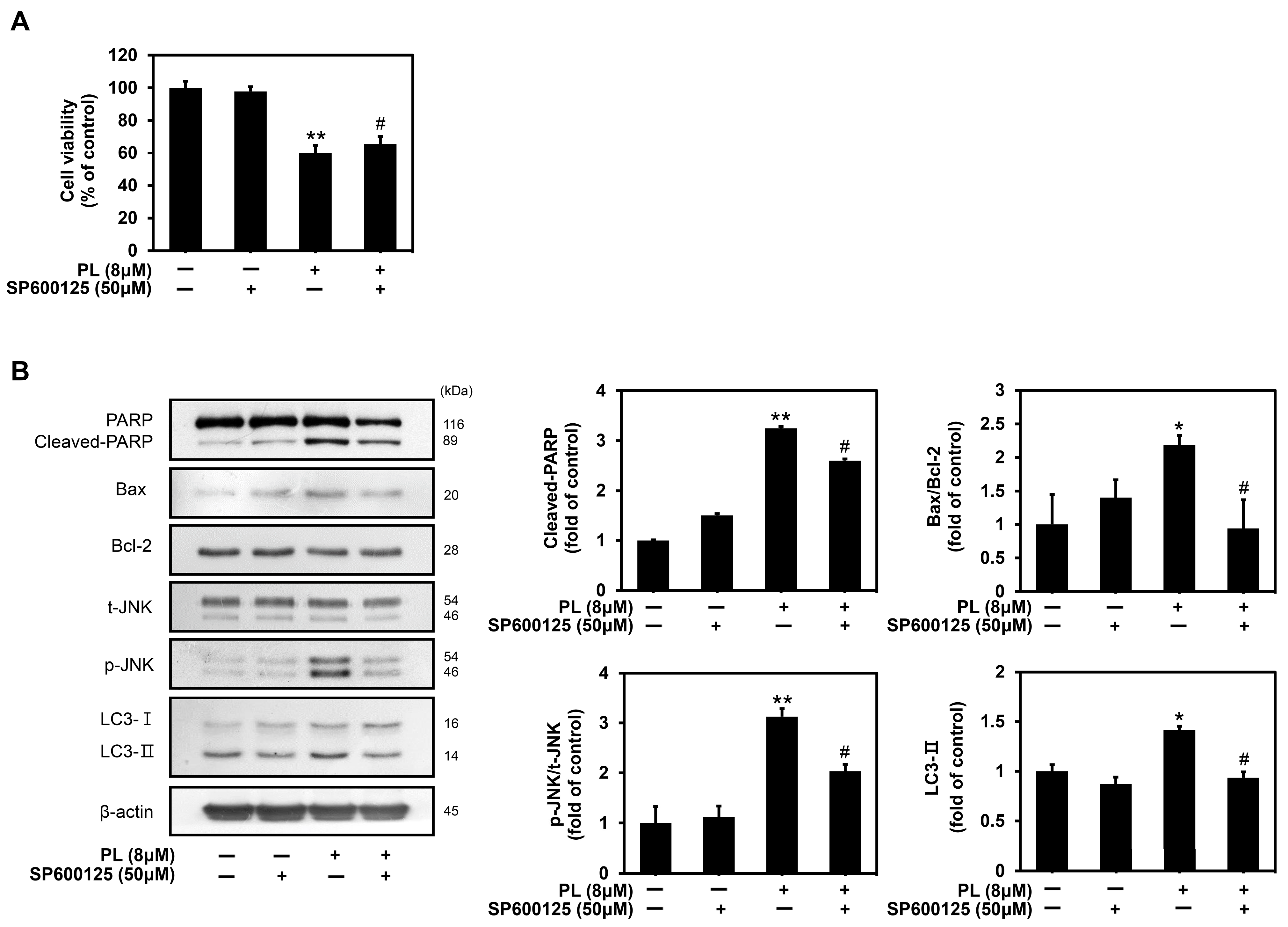 Biomedicines 11 02442 g006