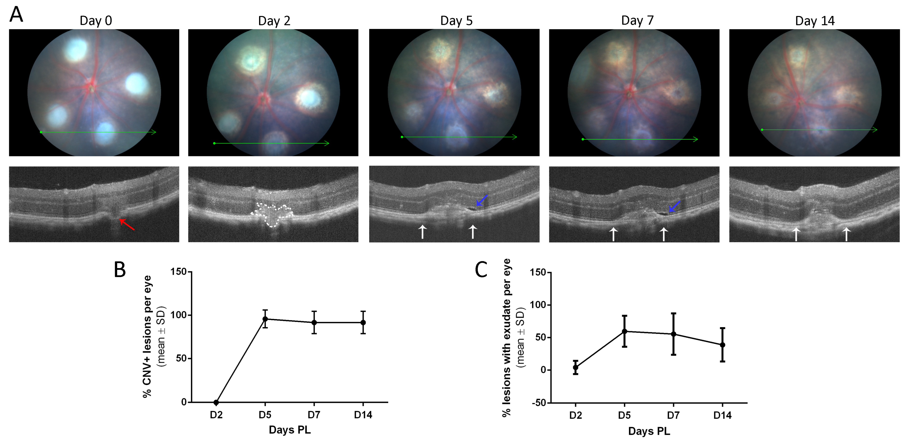 Biomedicines 11 02445 g002