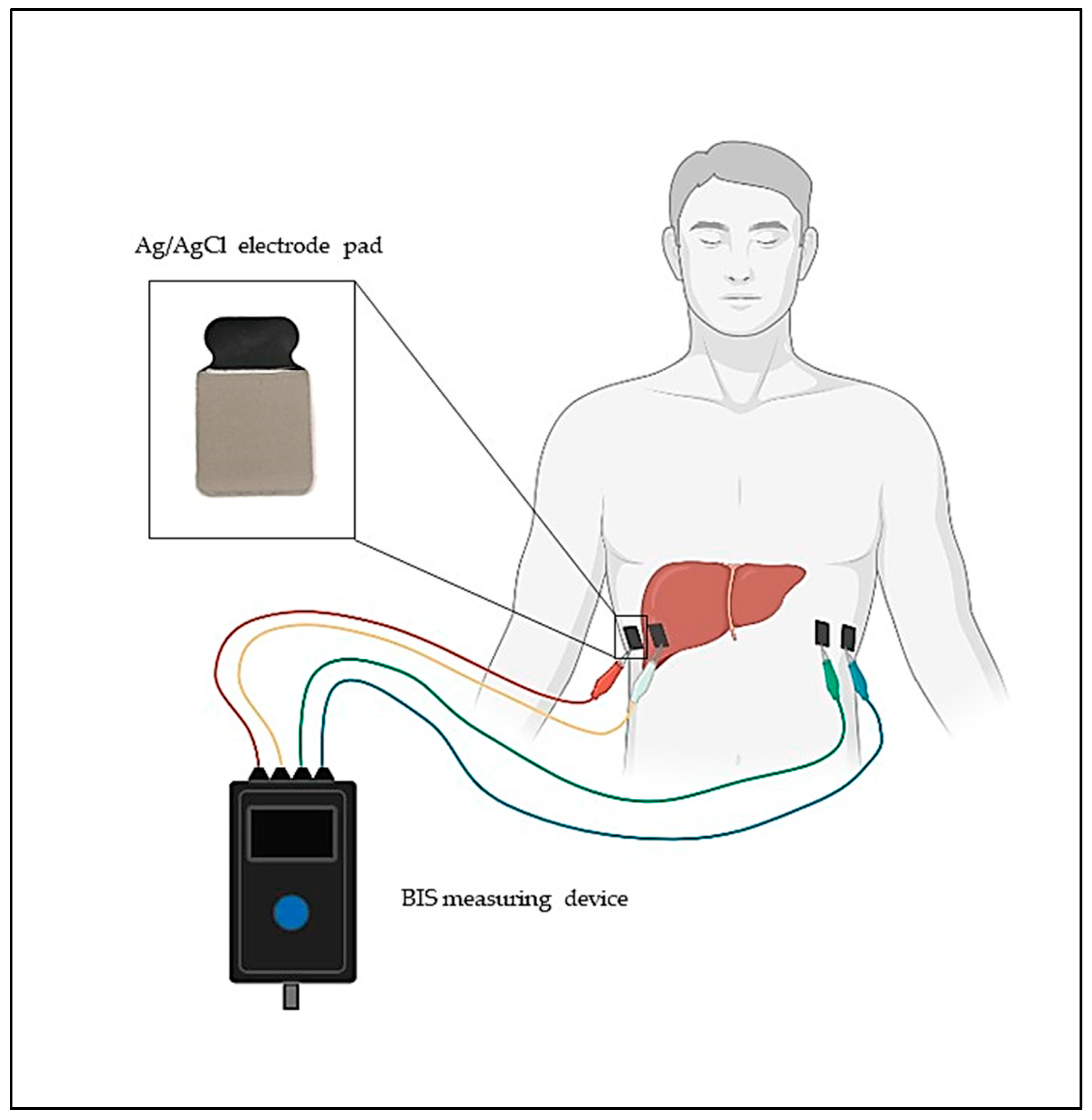 Biomedicines 11 02449 g004