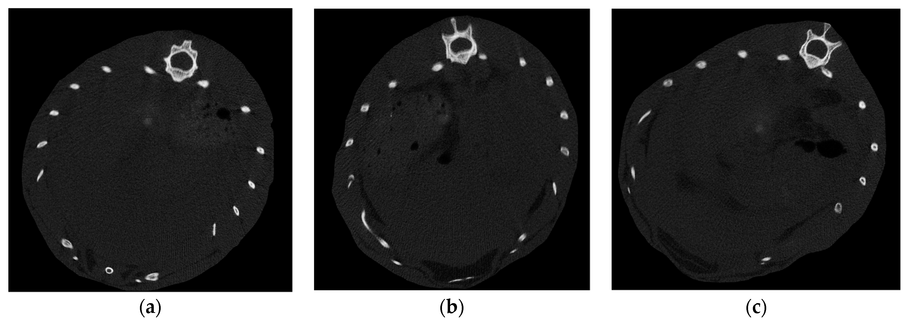 Biomedicines 11 02449 g007