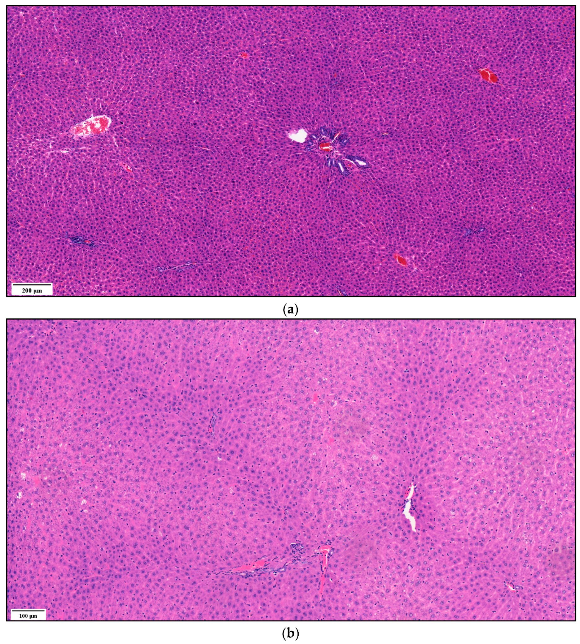 Biomedicines 11 02449 g008a