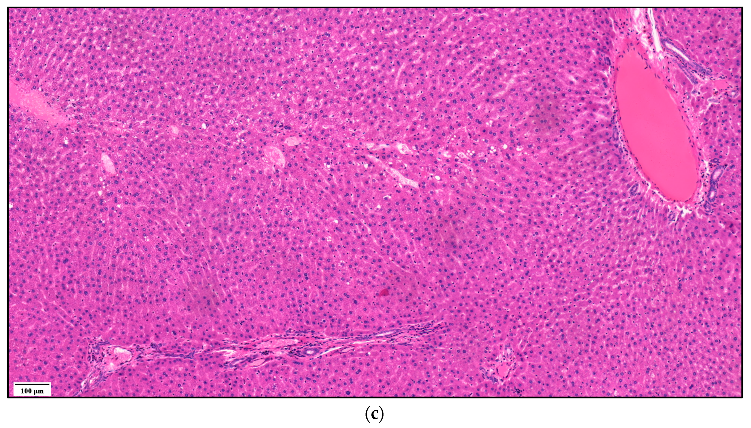 Biomedicines 11 02449 g008b