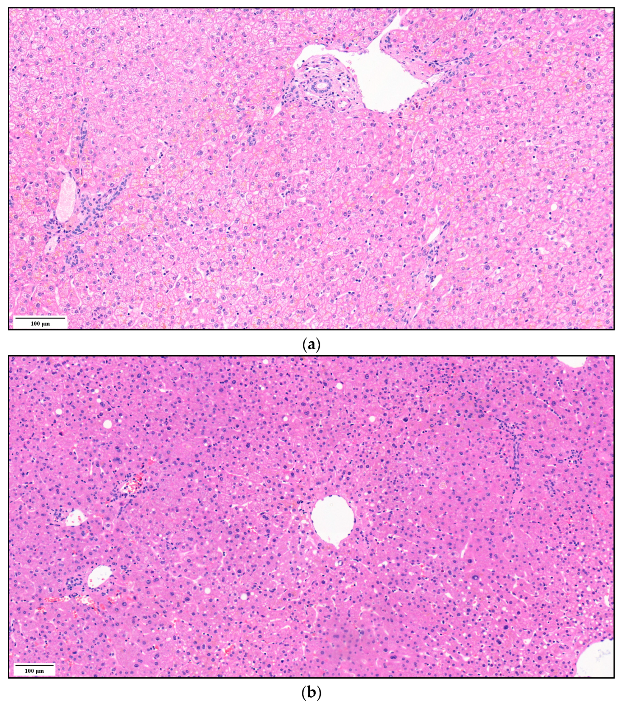 Biomedicines 11 02449 g010a