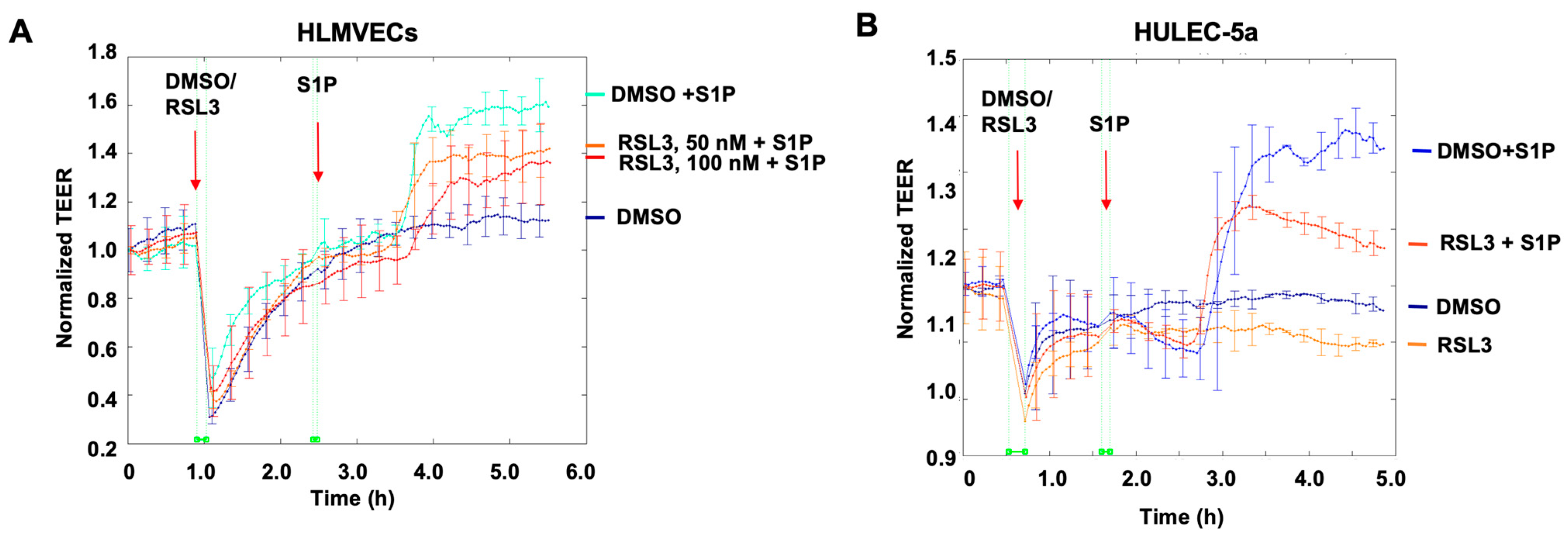 Biomedicines 11 02451 g001