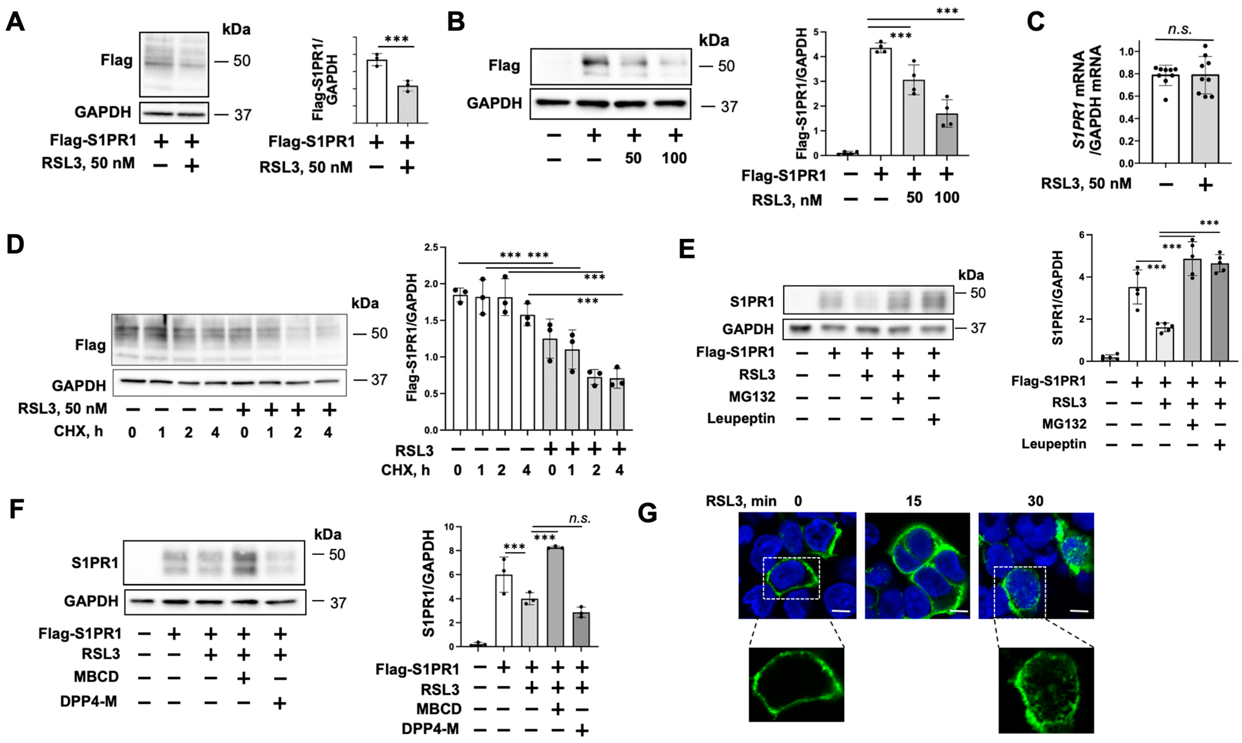 Biomedicines 11 02451 g003
