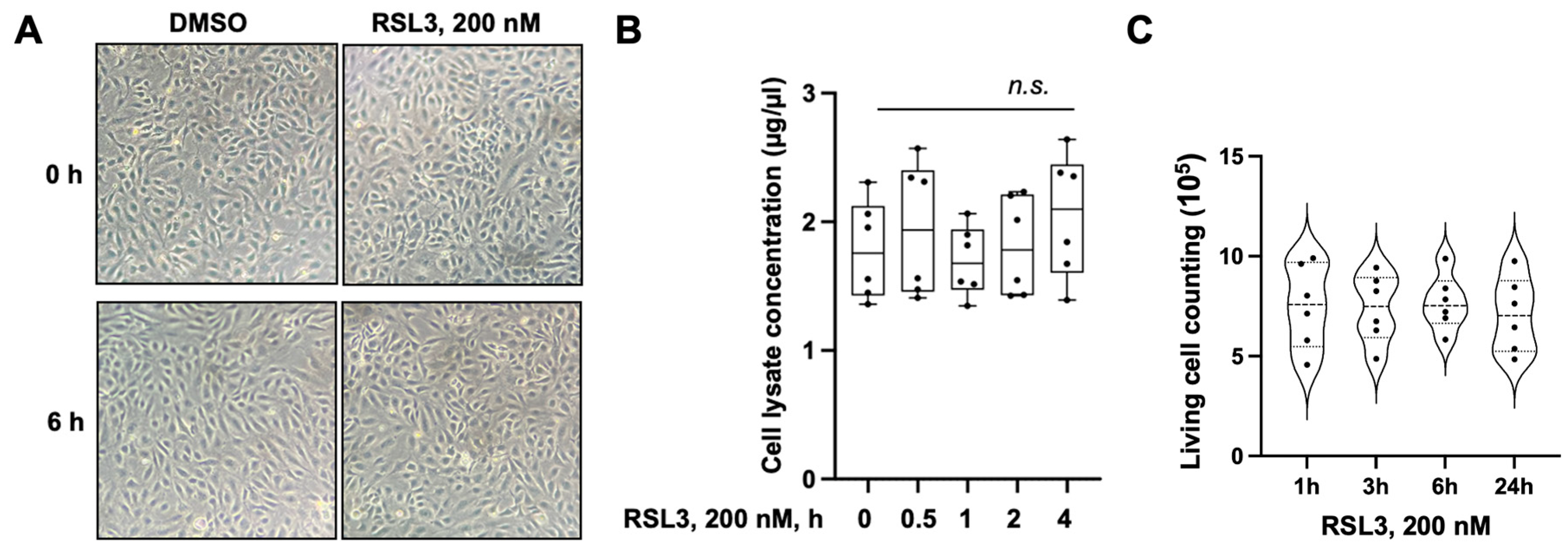 Biomedicines 11 02451 g007