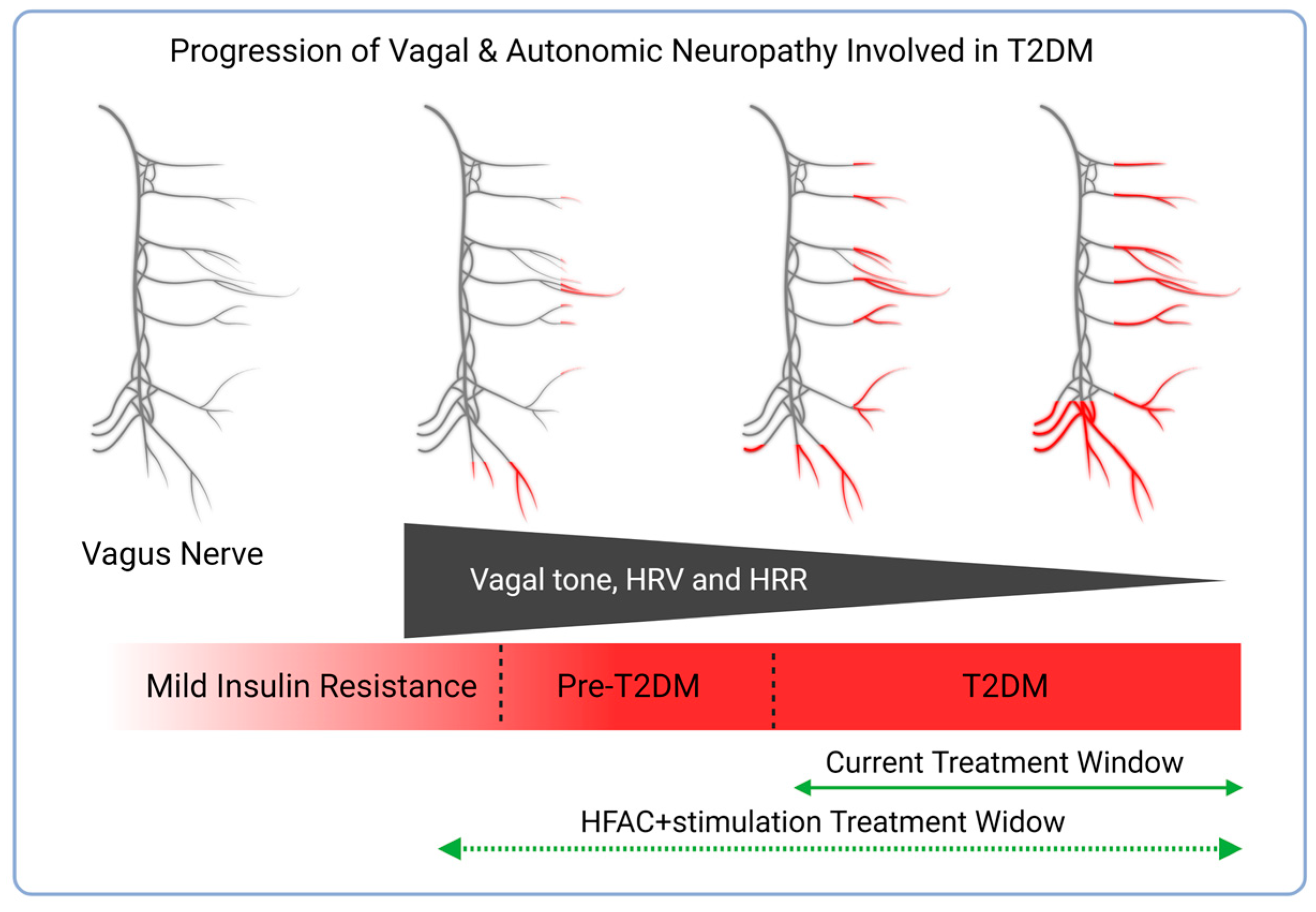 Biomedicines 11 02452 g006