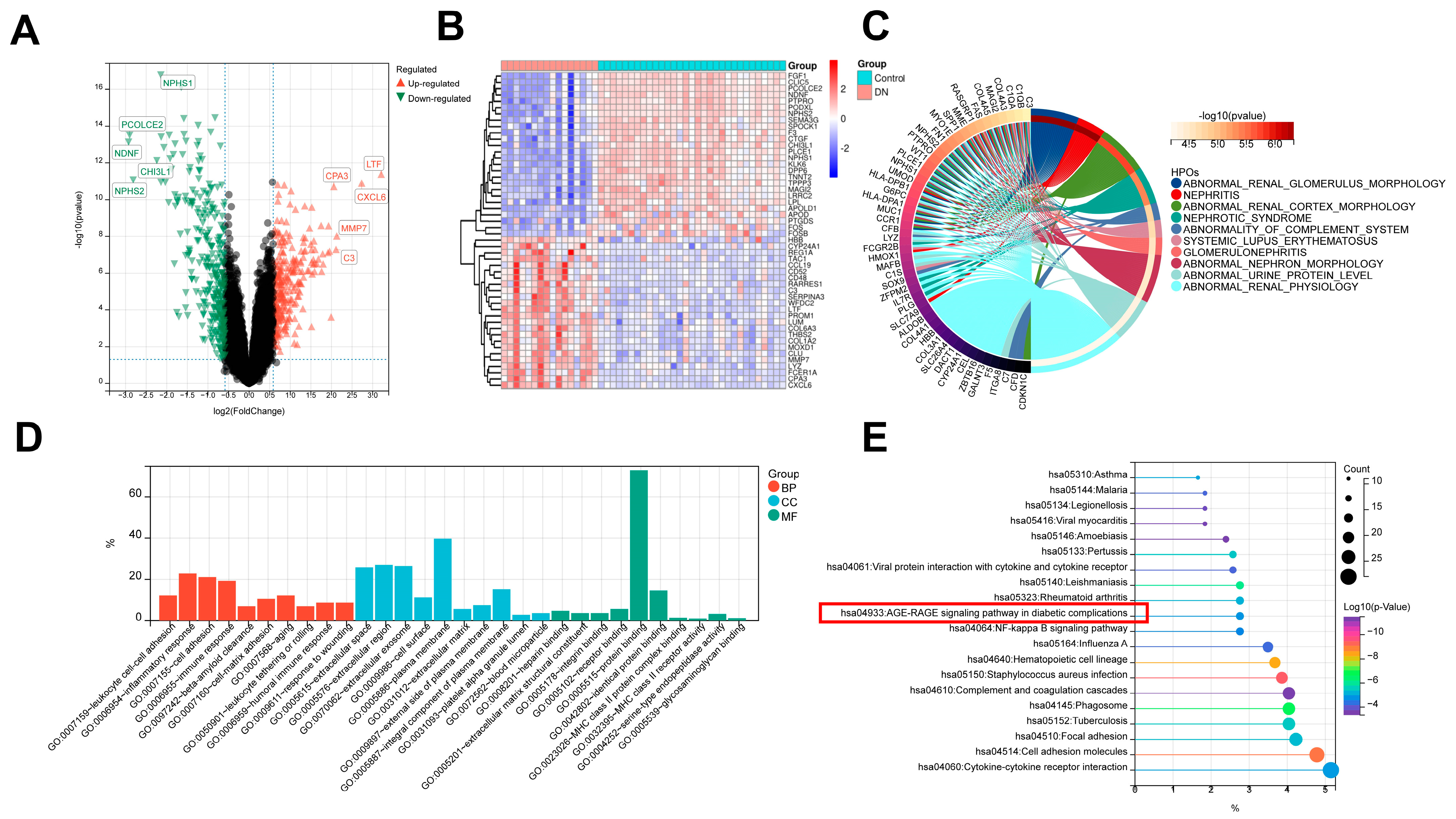 Biomedicines 11 02454 g003