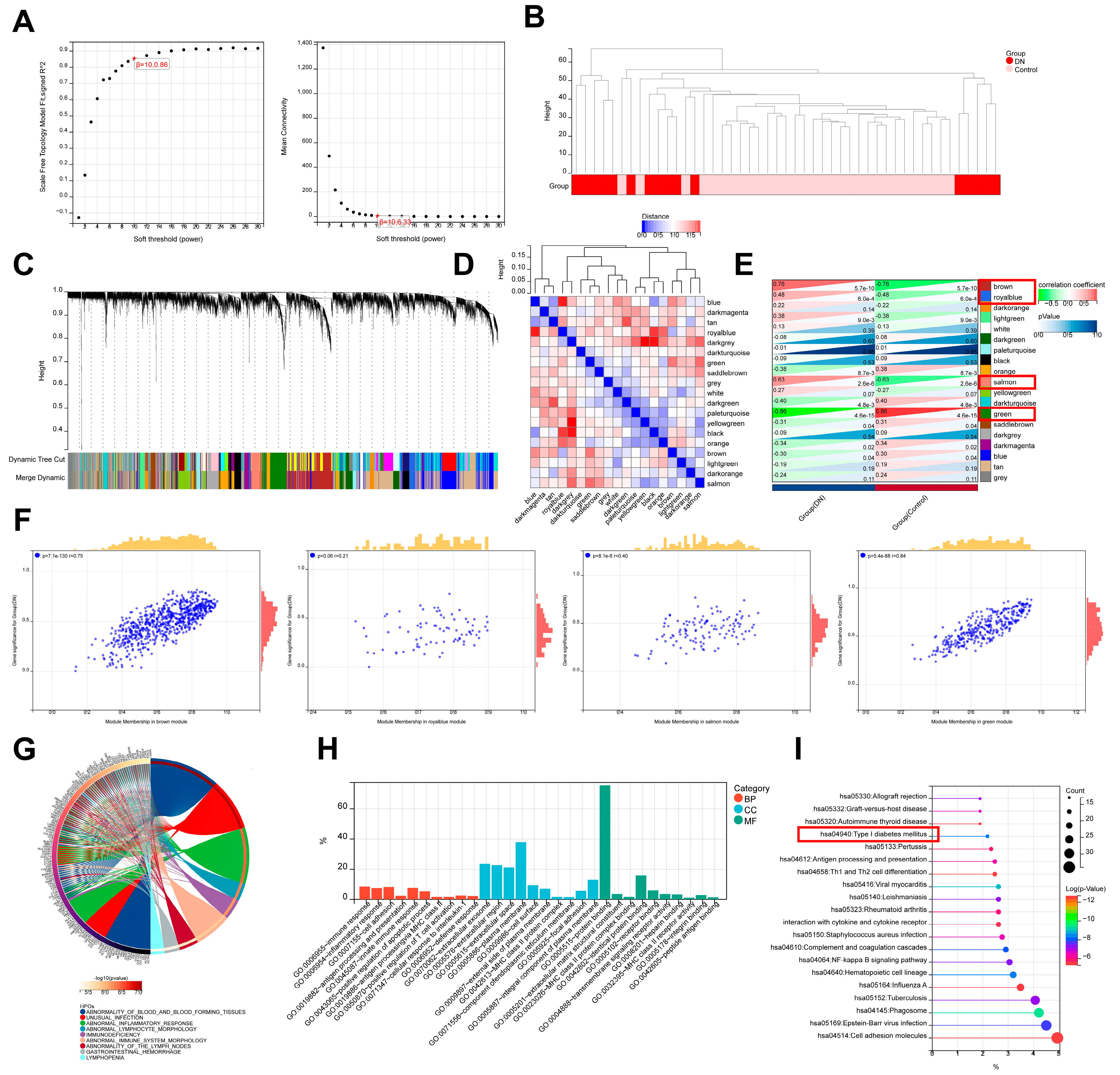 Biomedicines 11 02454 g004