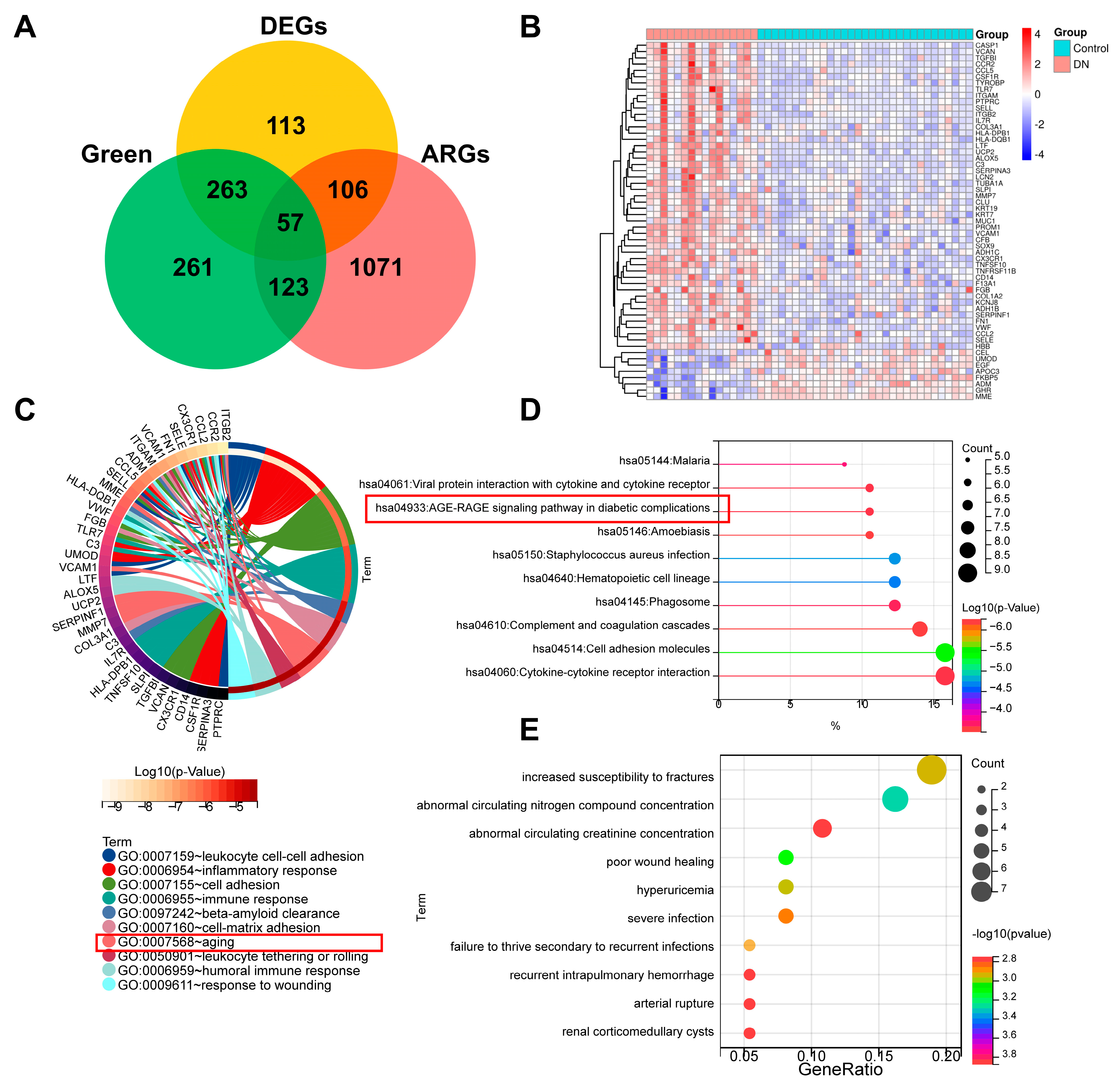 Biomedicines 11 02454 g005