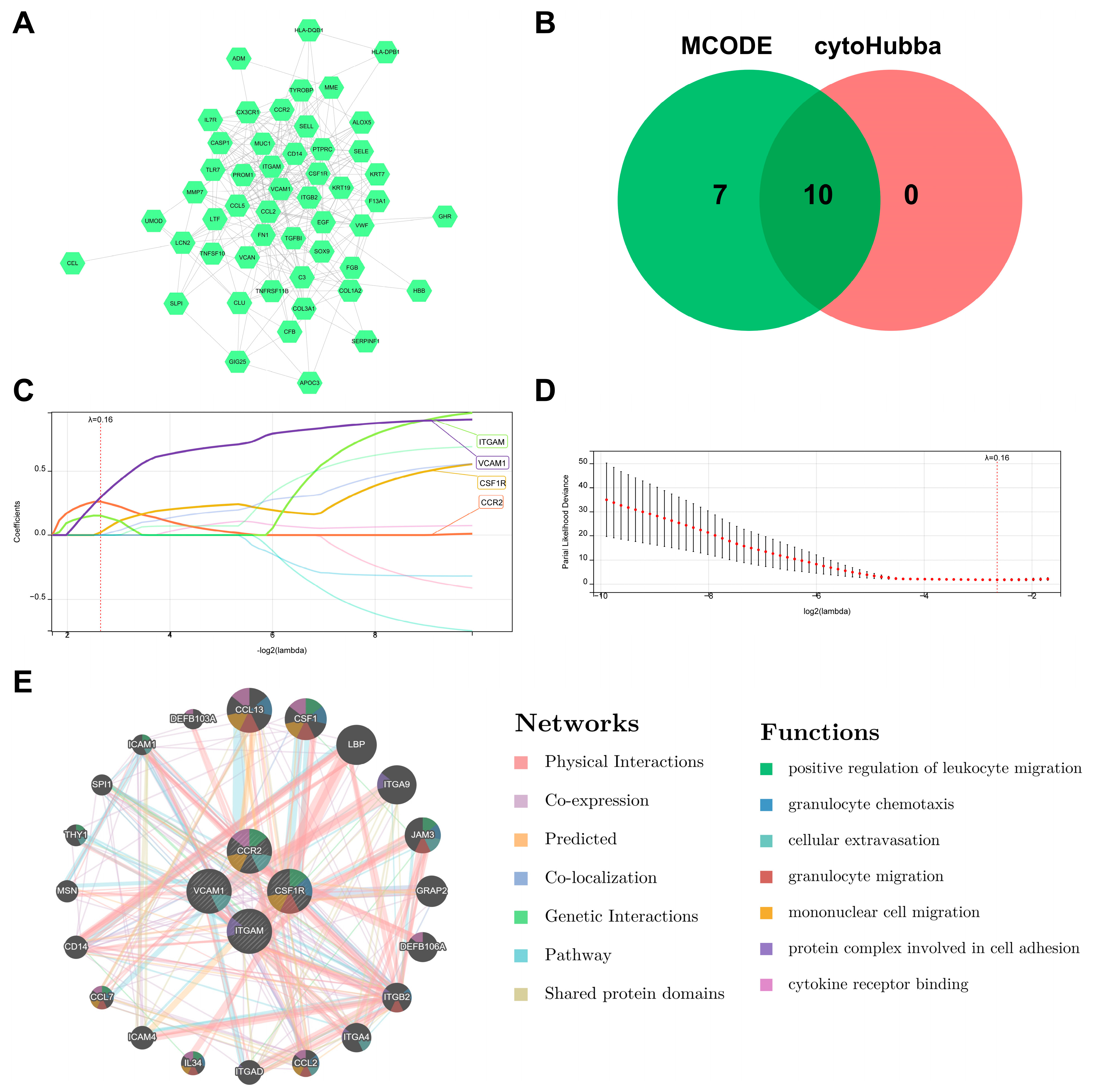 Biomedicines 11 02454 g006