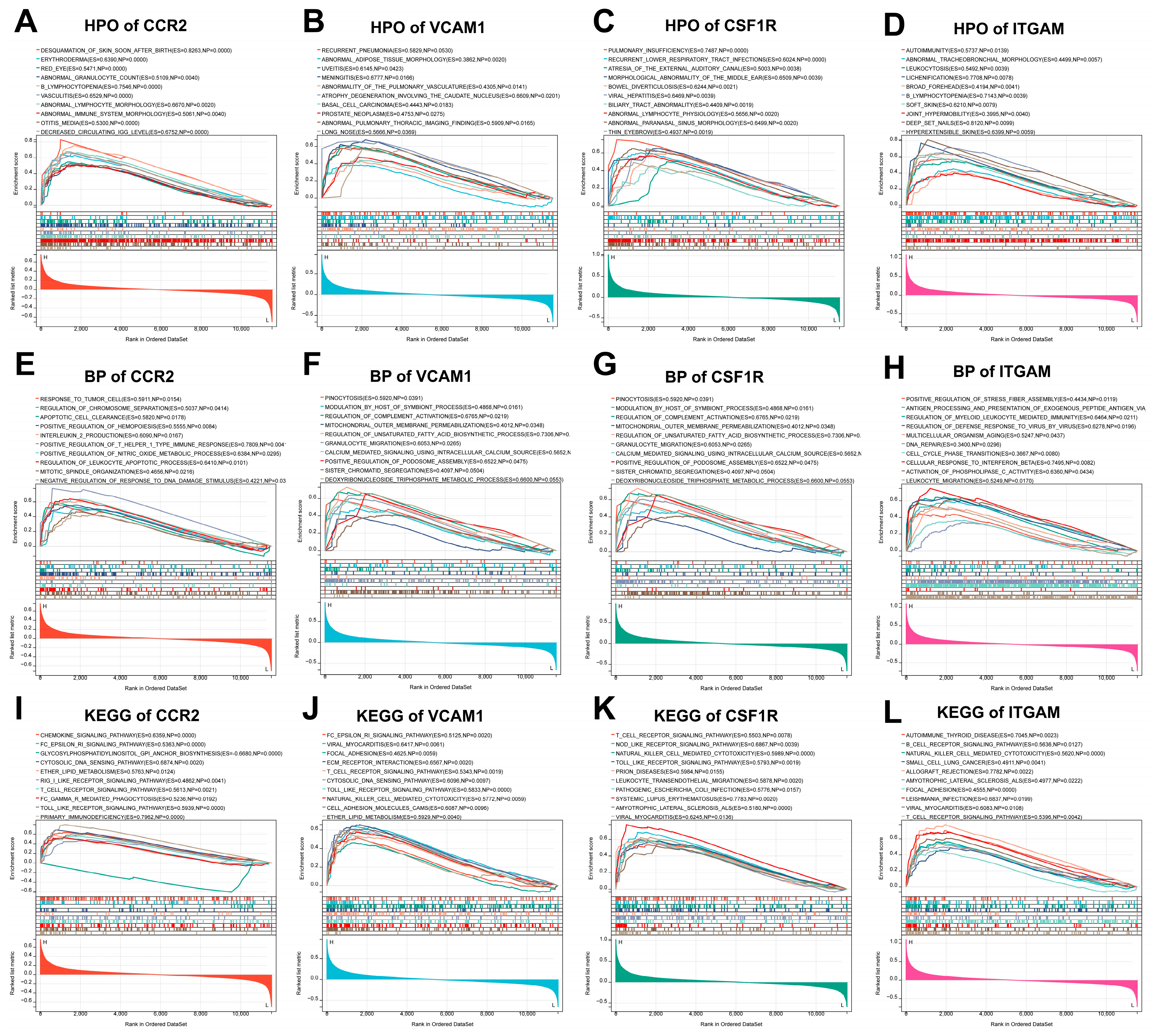 Biomedicines 11 02454 g010