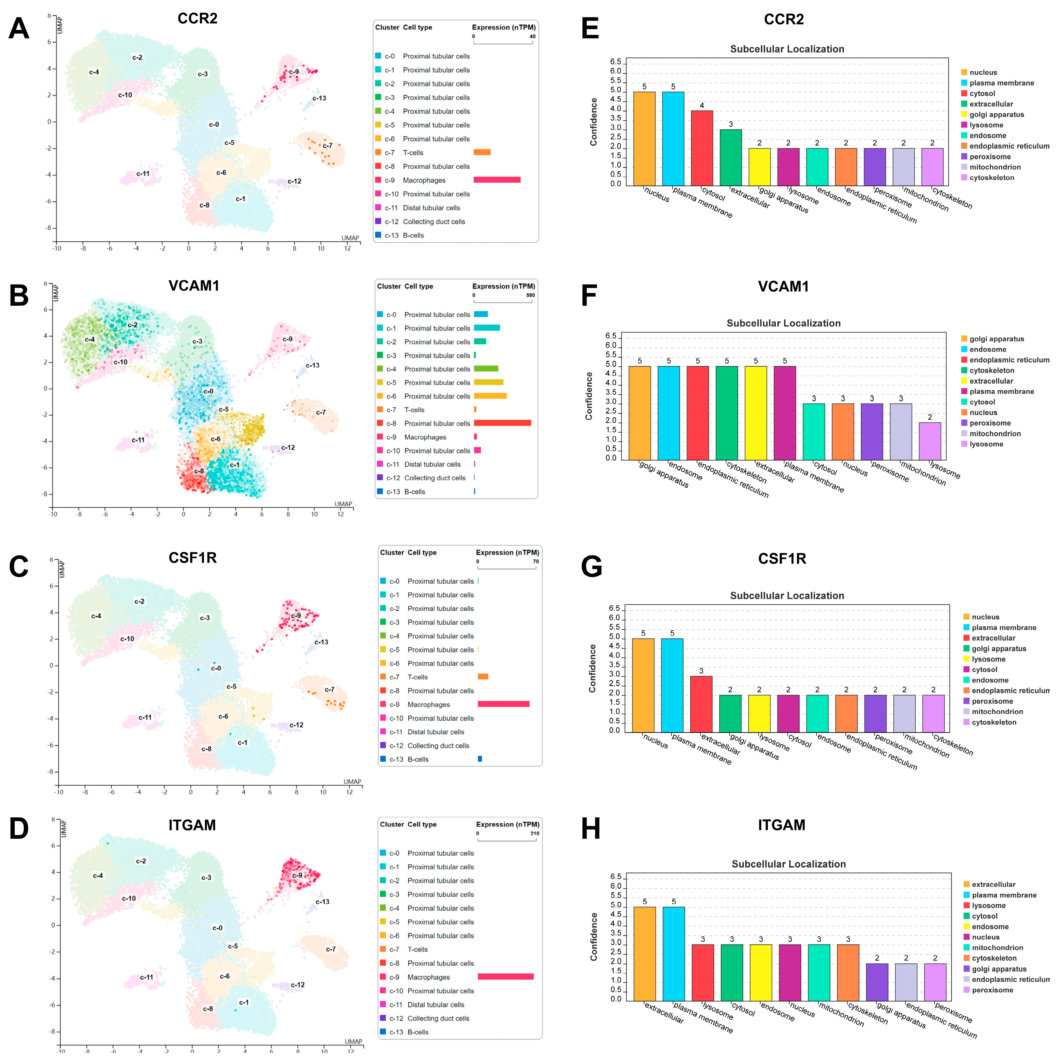 Biomedicines 11 02454 g011