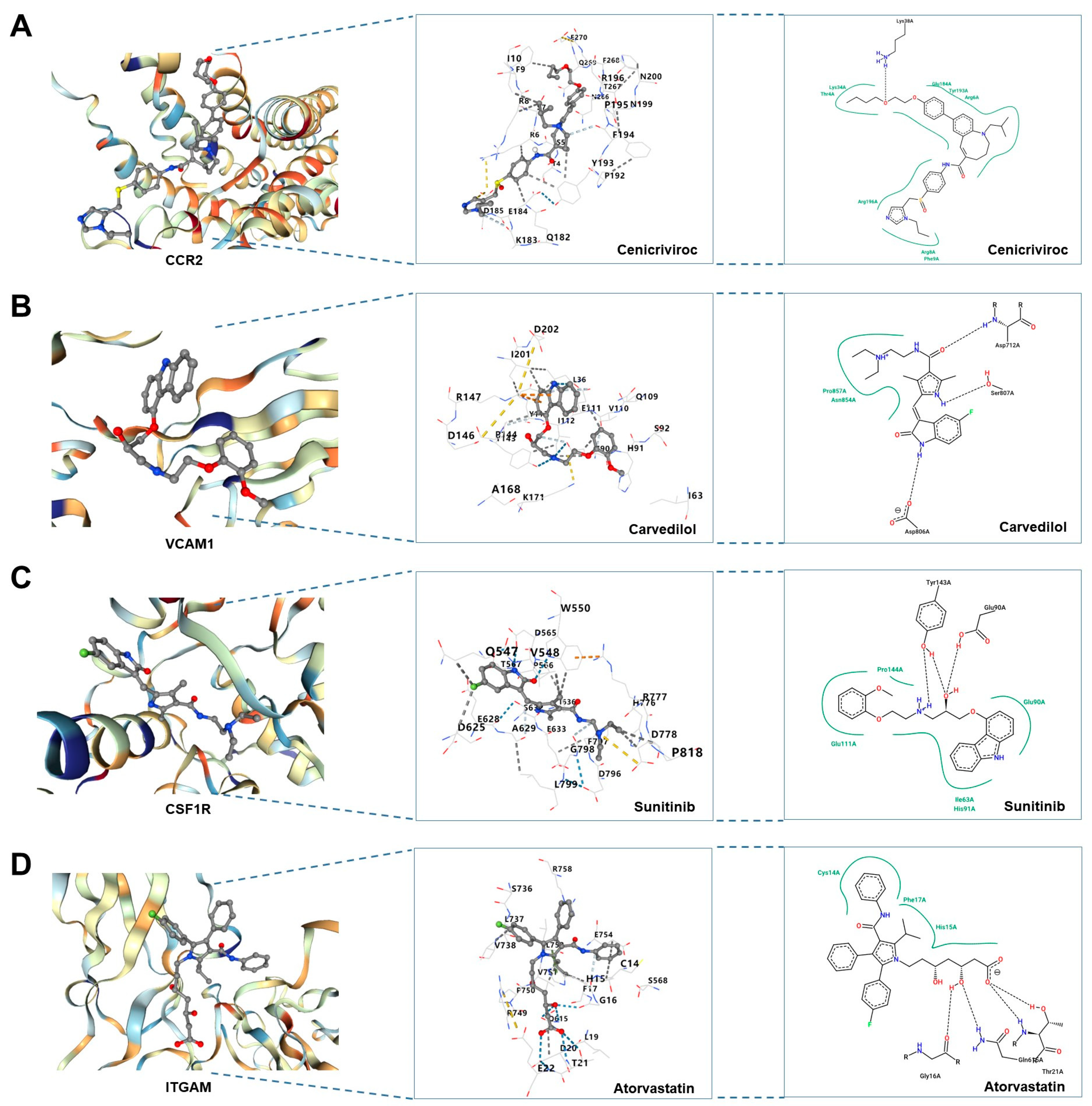 Biomedicines 11 02454 g012