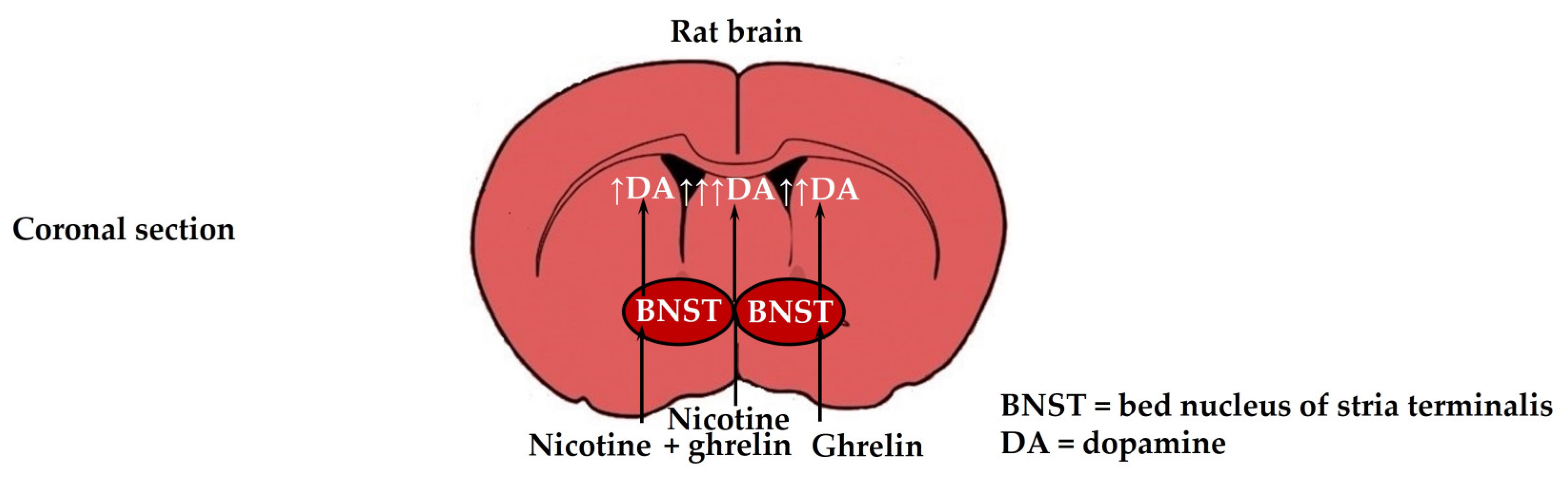 Biomedicines 11 02456 g006