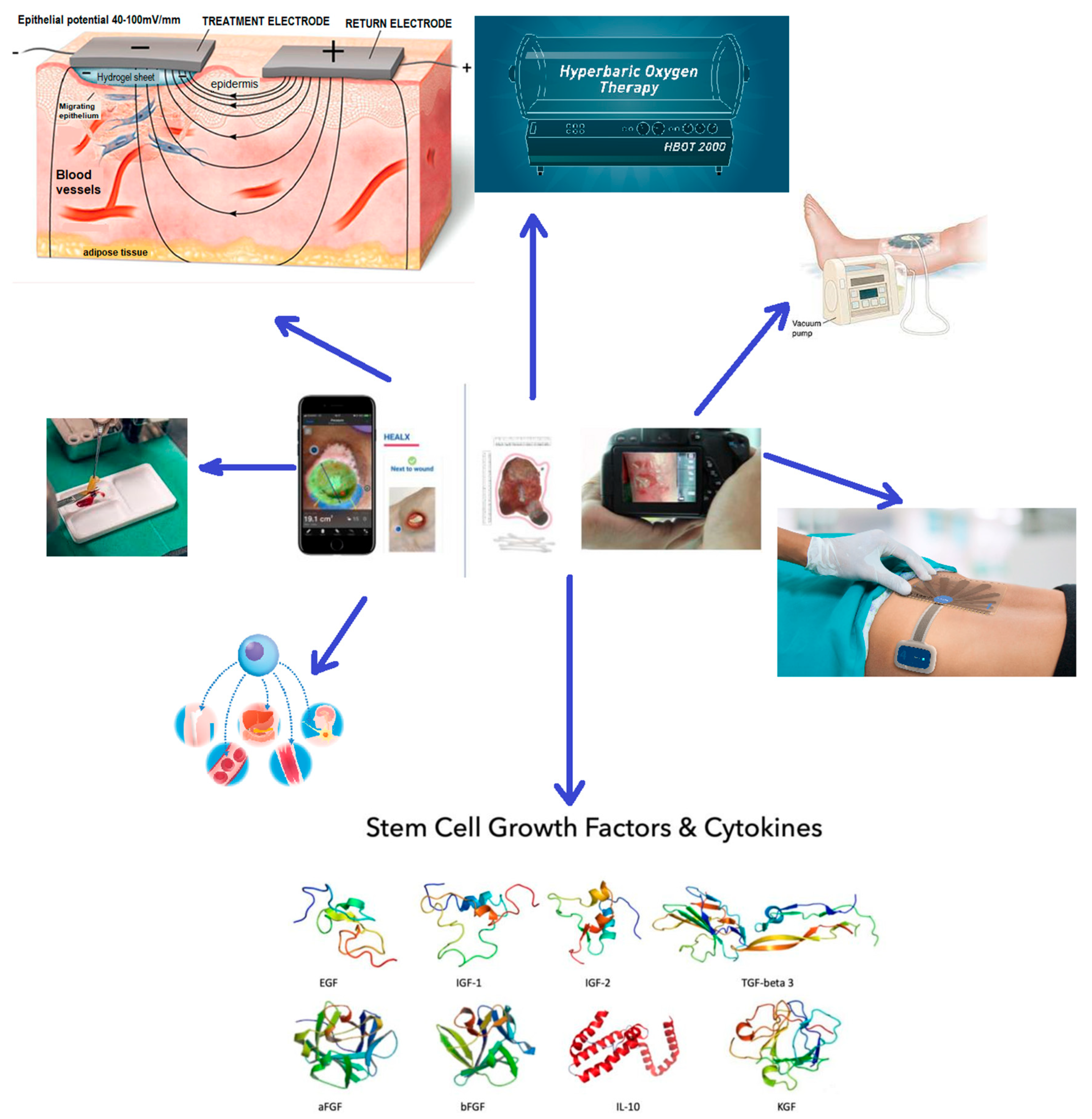 Biomedicines 11 02457 g004