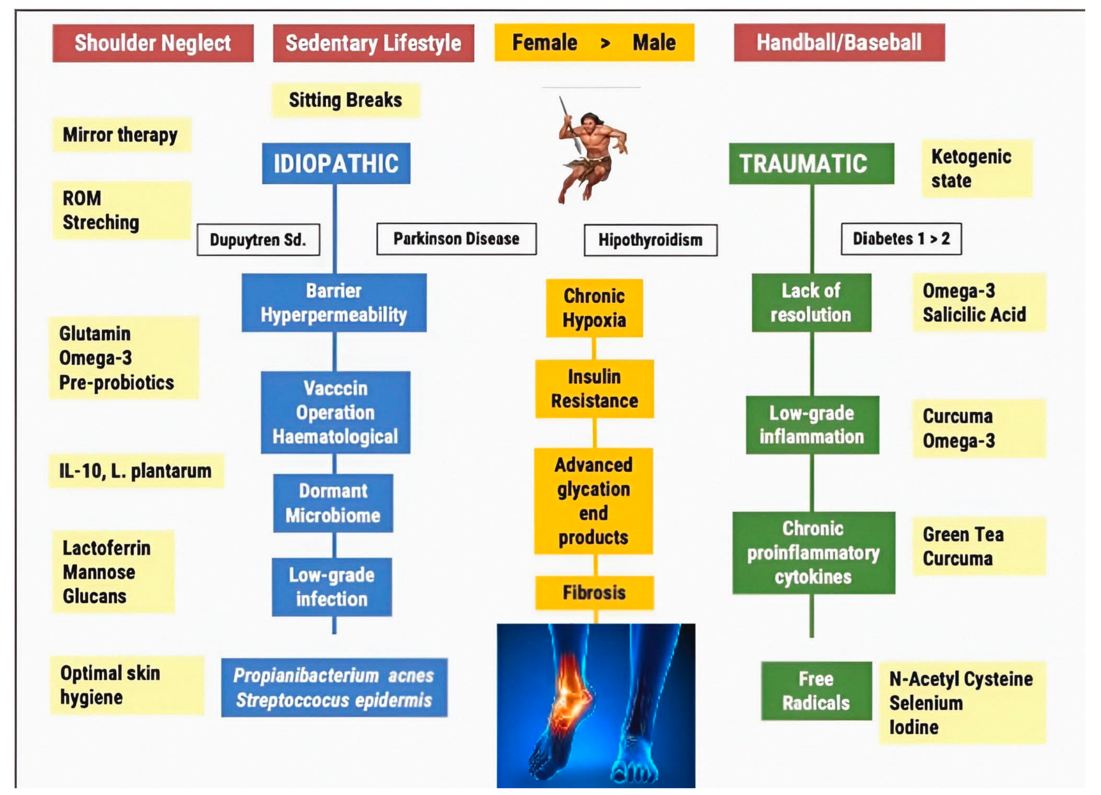 Biomedicines 11 02461 g001