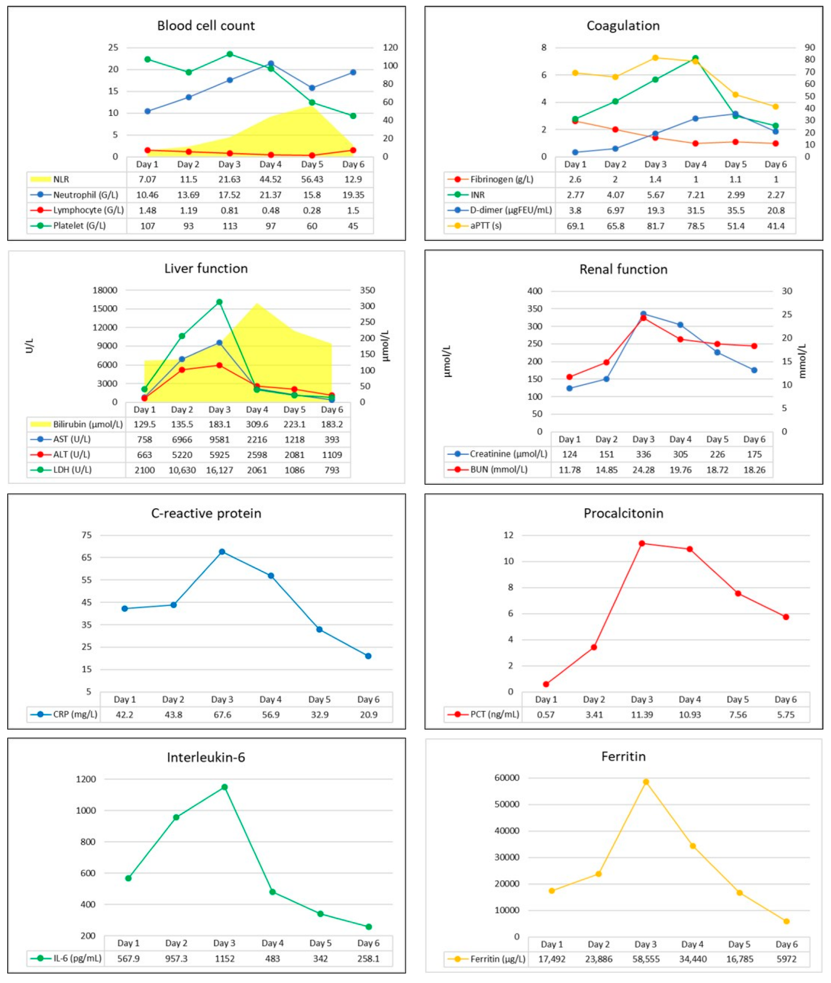 Biomedicines 11 02463 g001