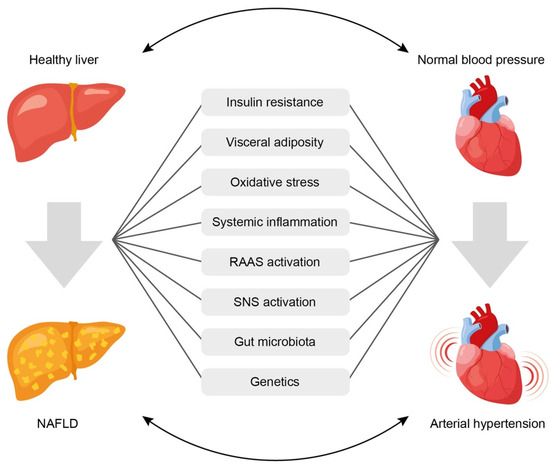 Biomedicines, Free Full-Text