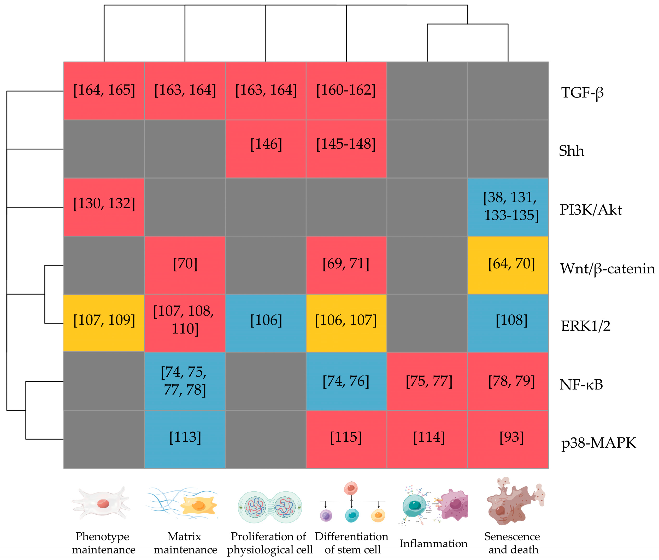 Biomedicines 11 02467 g001