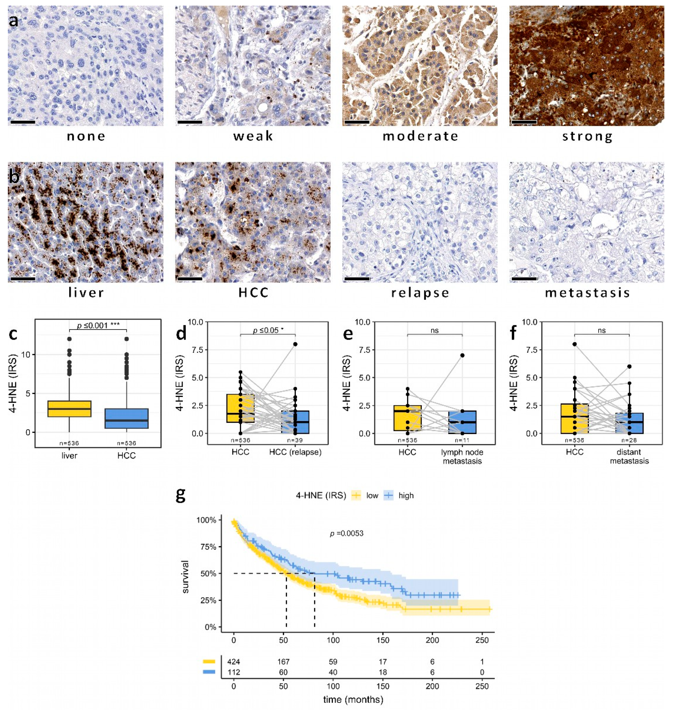 Biomedicines 11 02471 g001