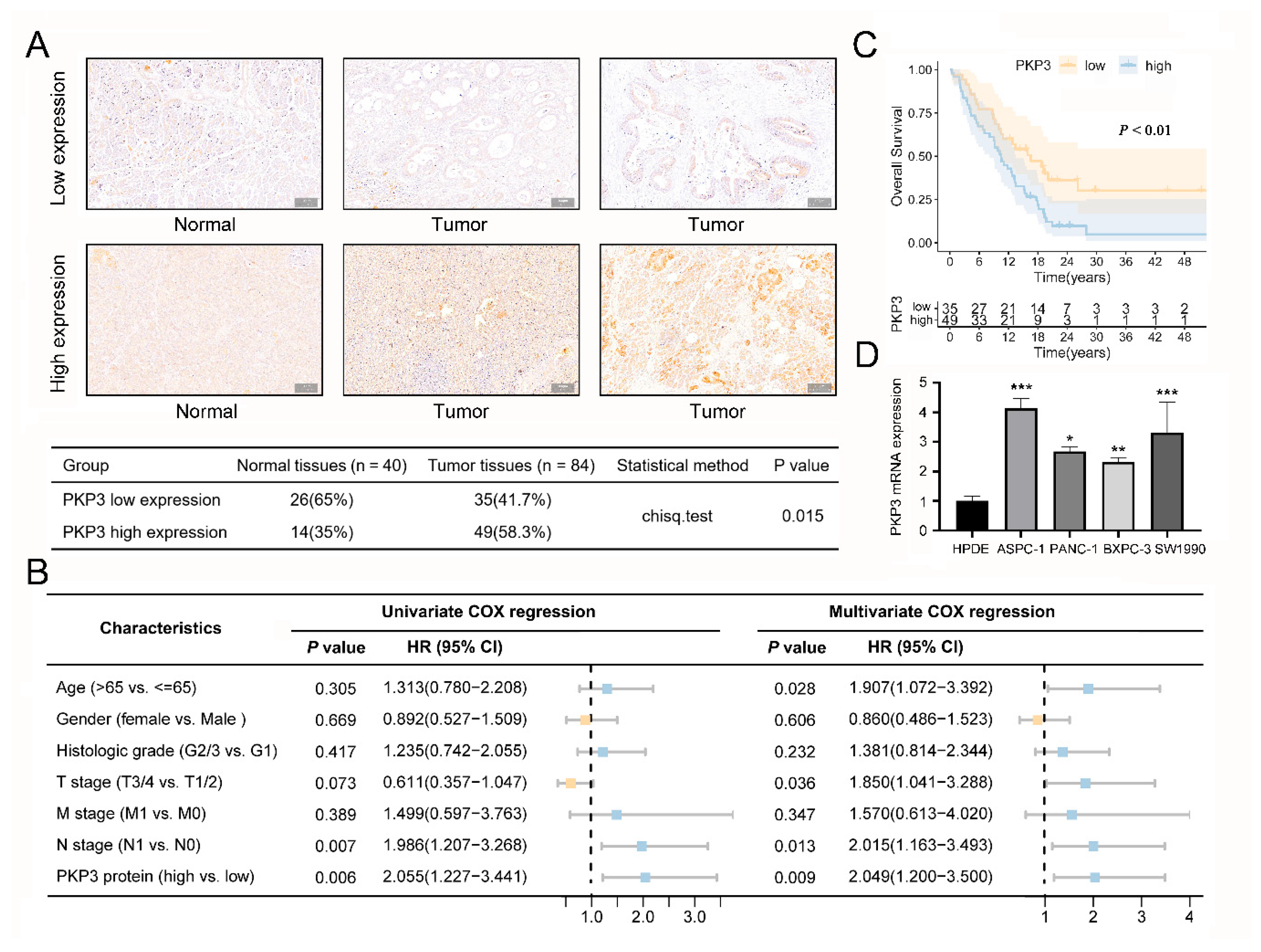 Biomedicines 11 02472 g003