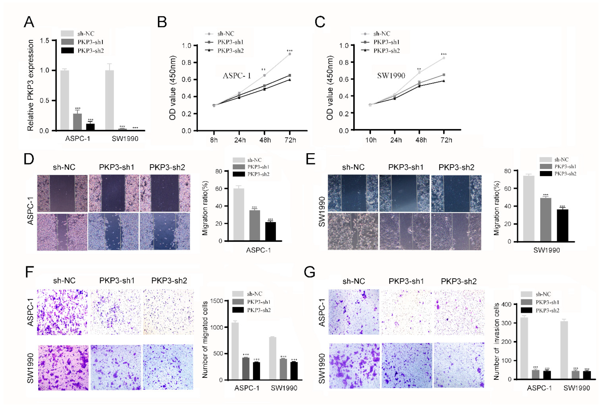 Biomedicines 11 02472 g004