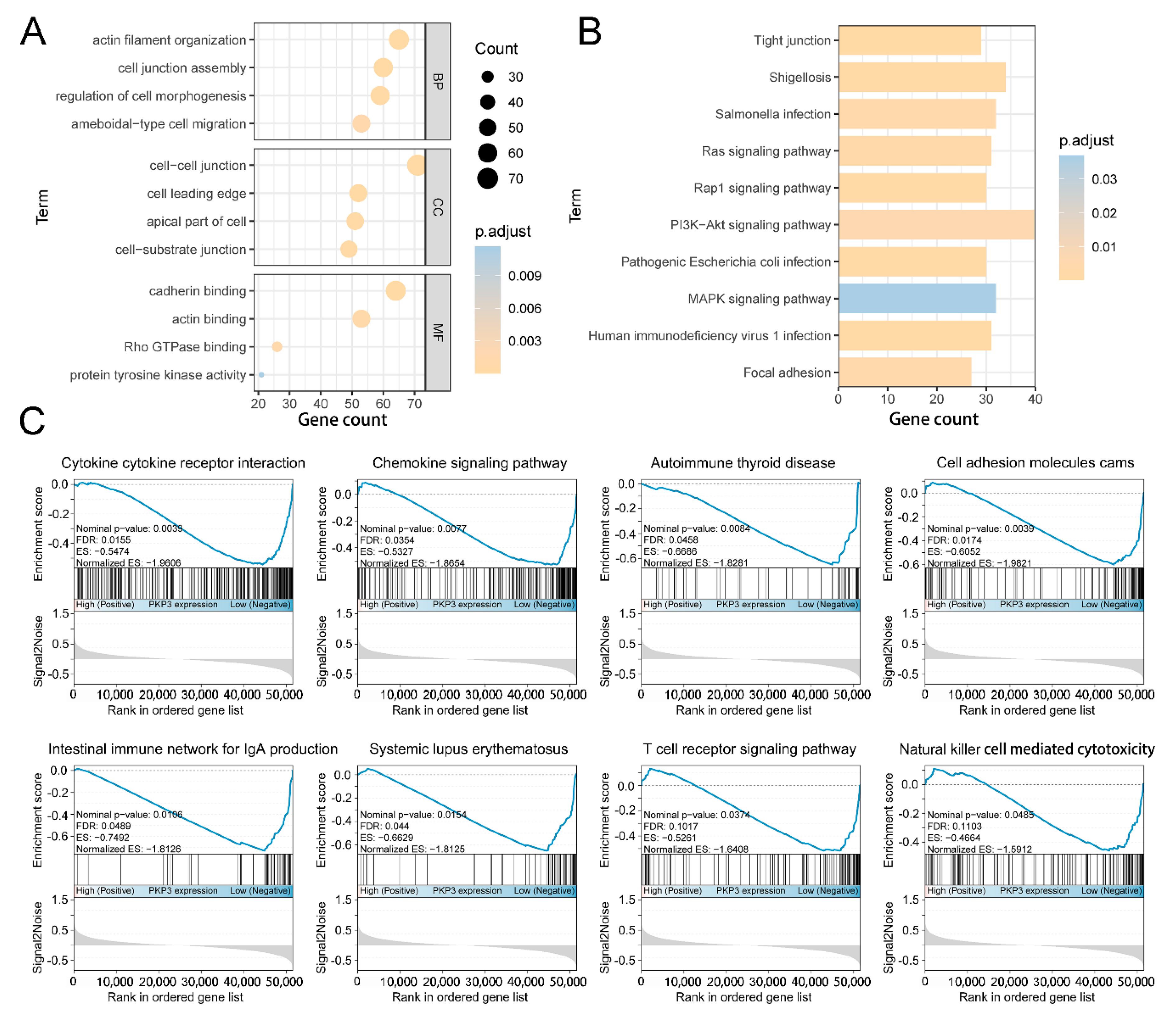 Biomedicines 11 02472 g005