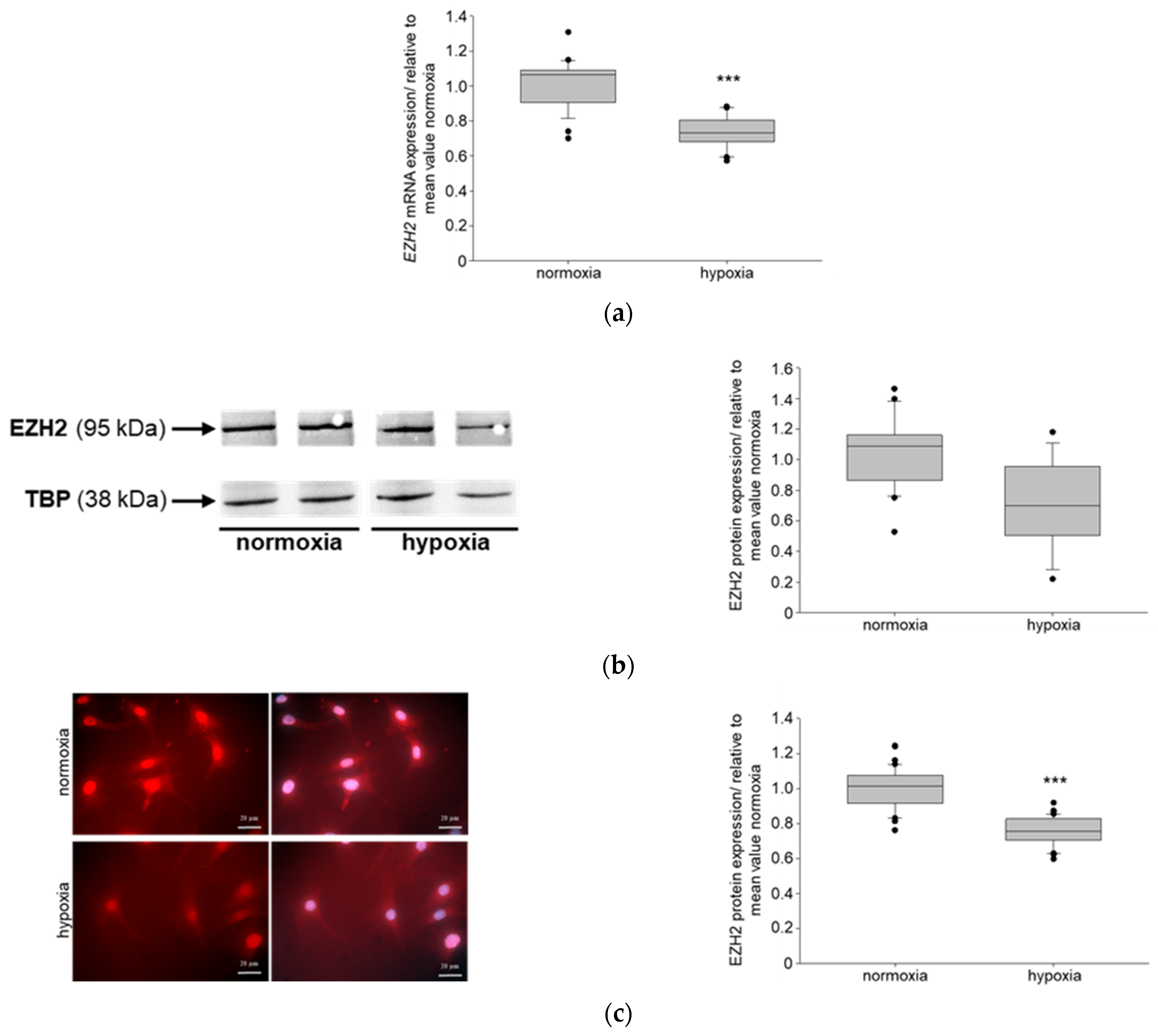 Biomedicines 11 02475 g002