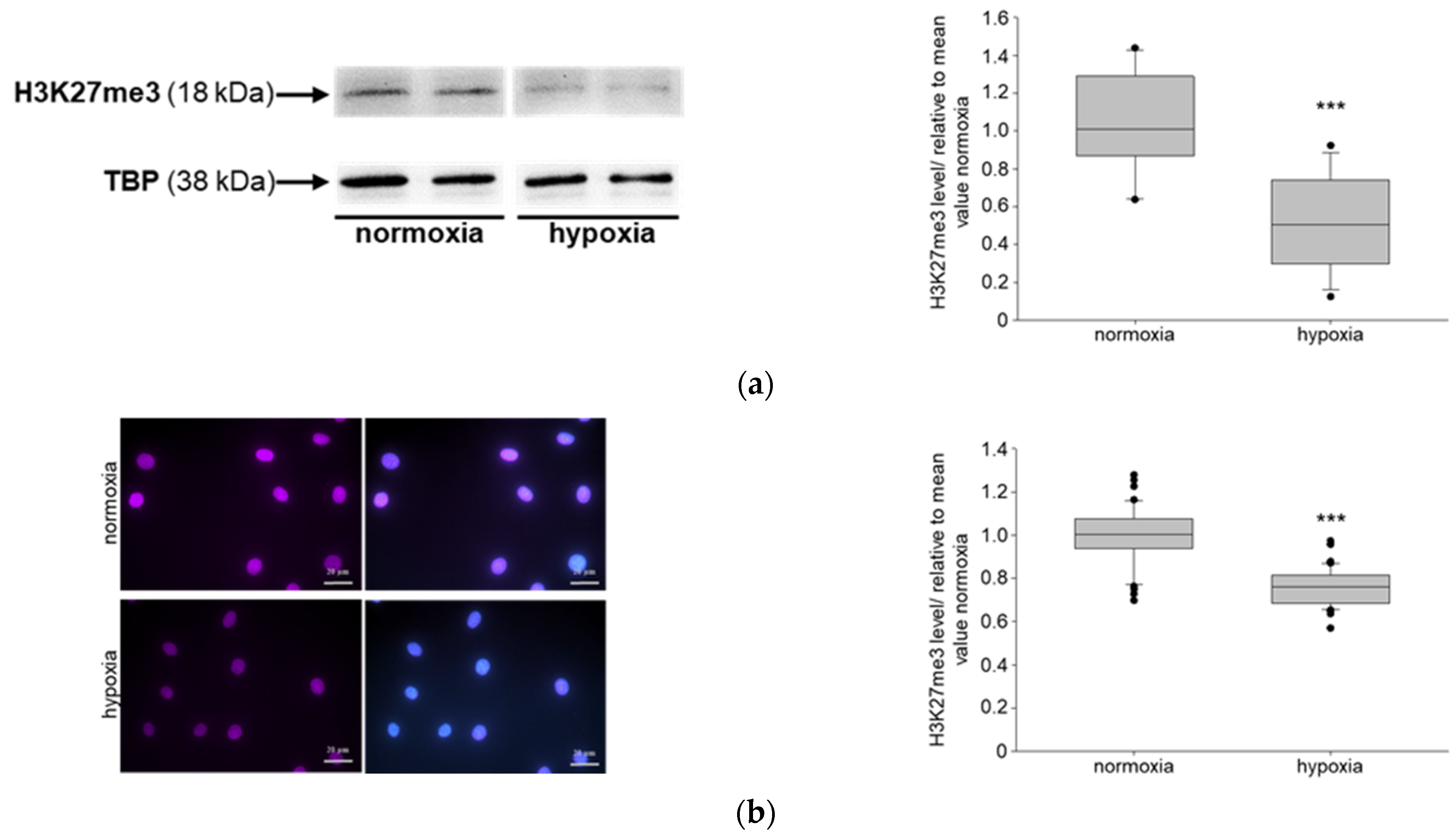 Biomedicines 11 02475 g003