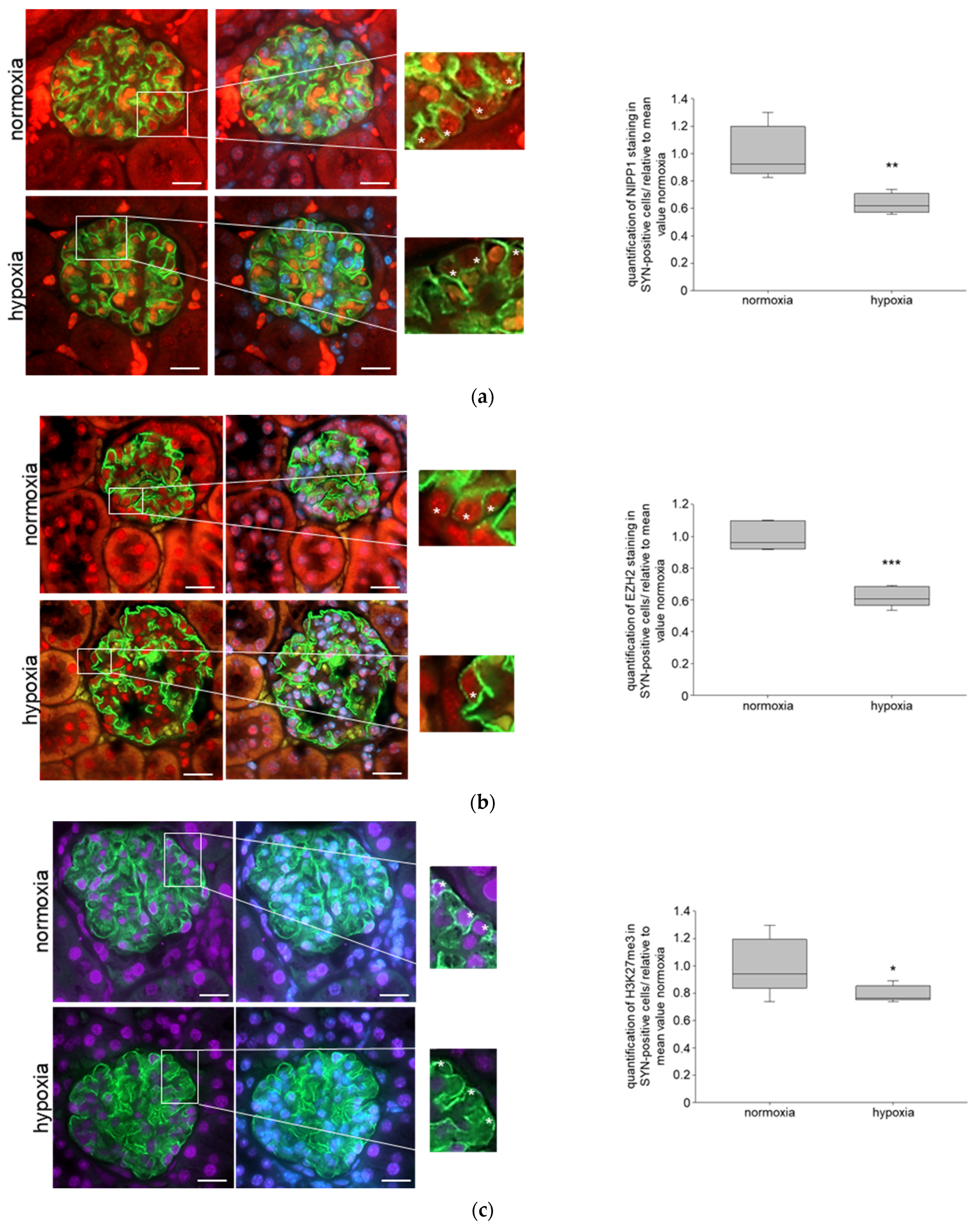 Biomedicines 11 02475 g004