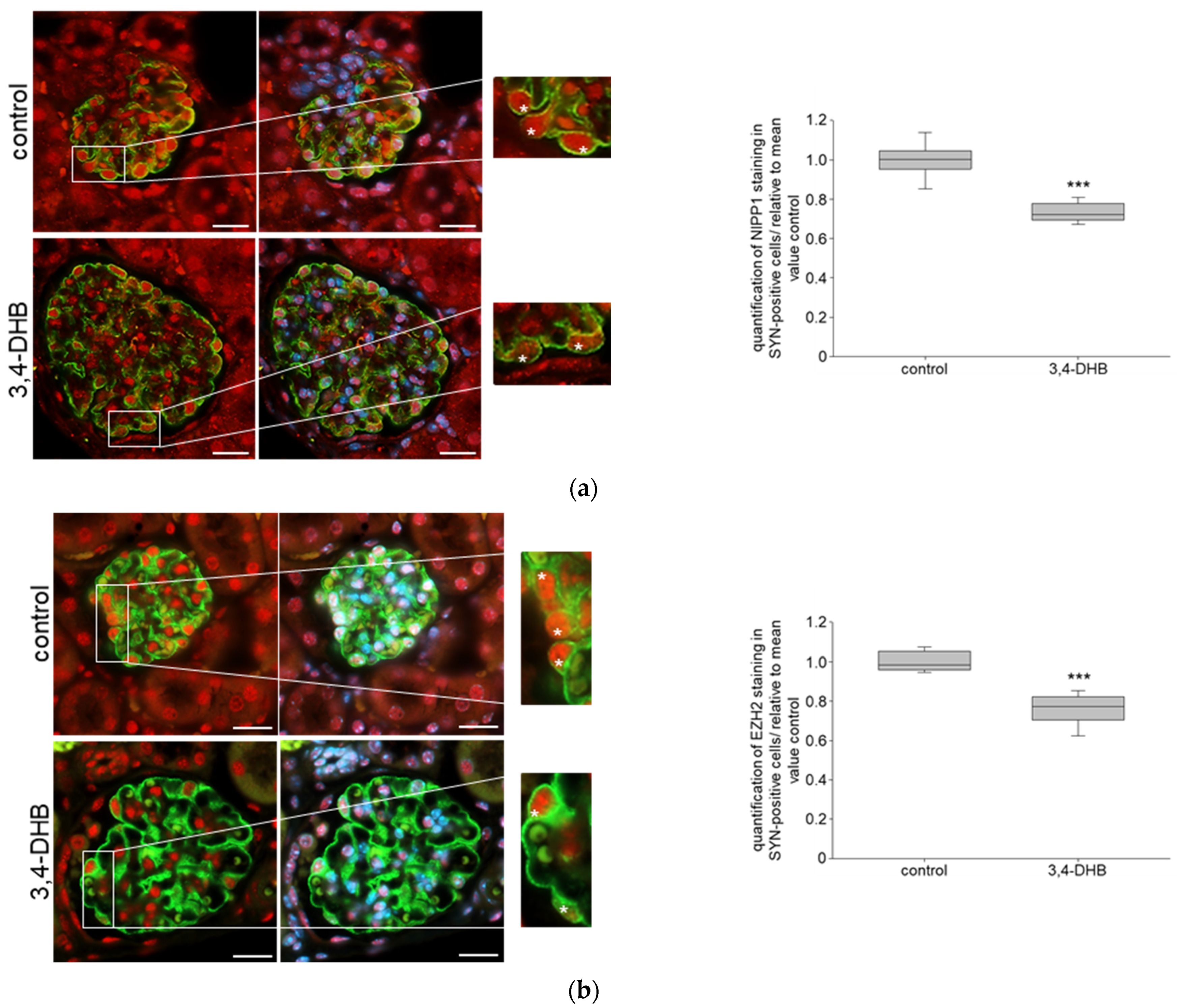 Biomedicines 11 02475 g005a
