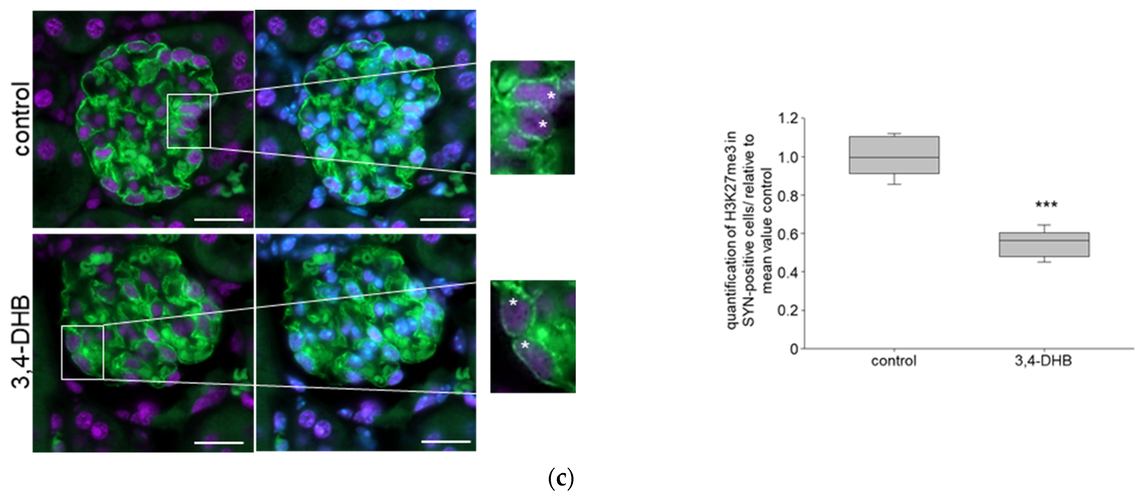 Biomedicines 11 02475 g005b