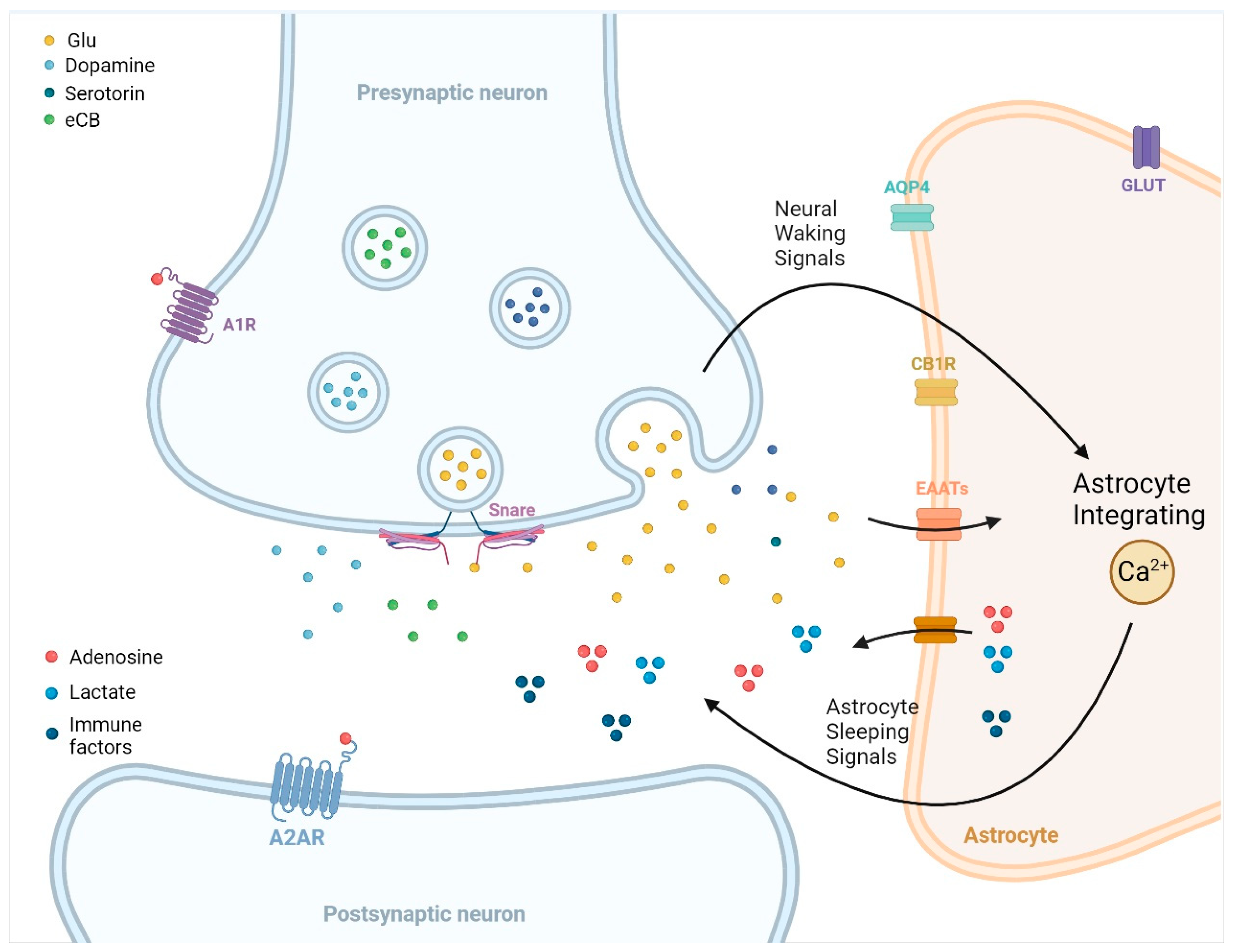 Biomedicines 11 02476 g001