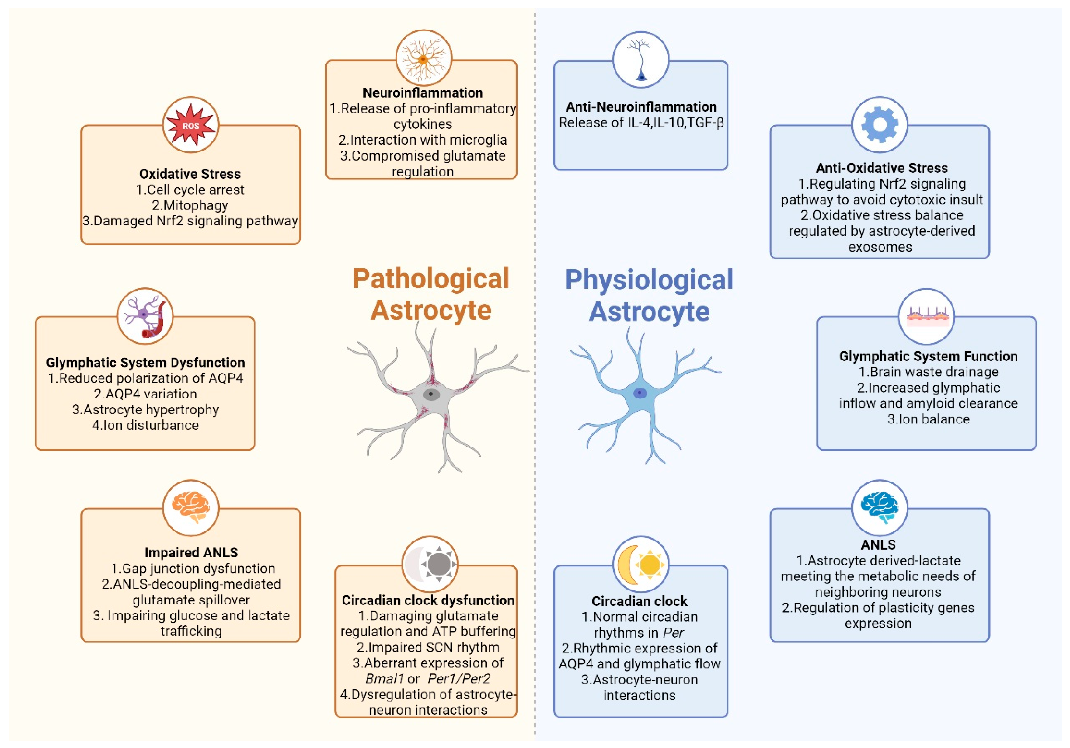 Biomedicines 11 02476 g002
