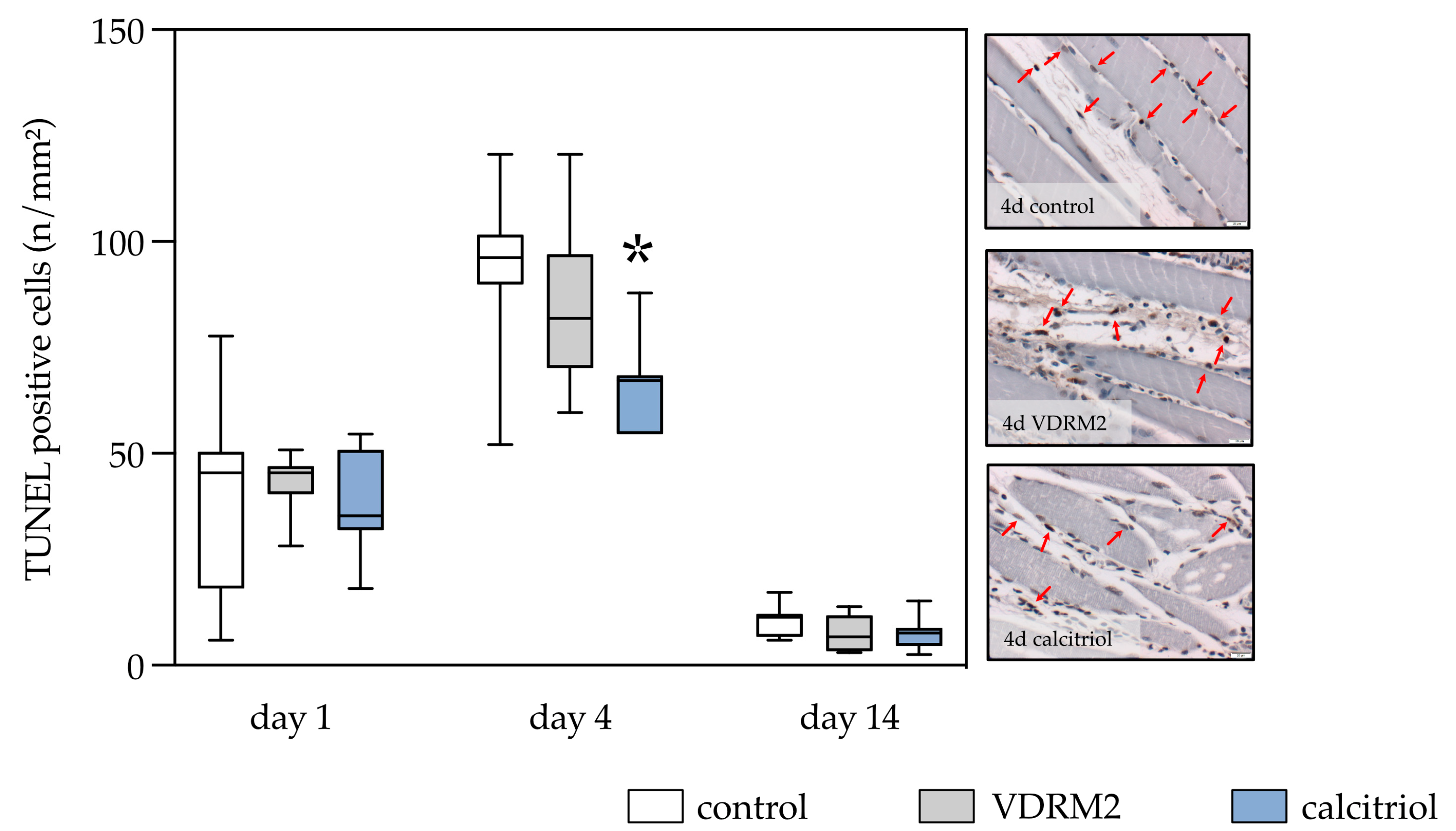 Biomedicines 11 02477 g005 Biomedicines 11 02477 g005