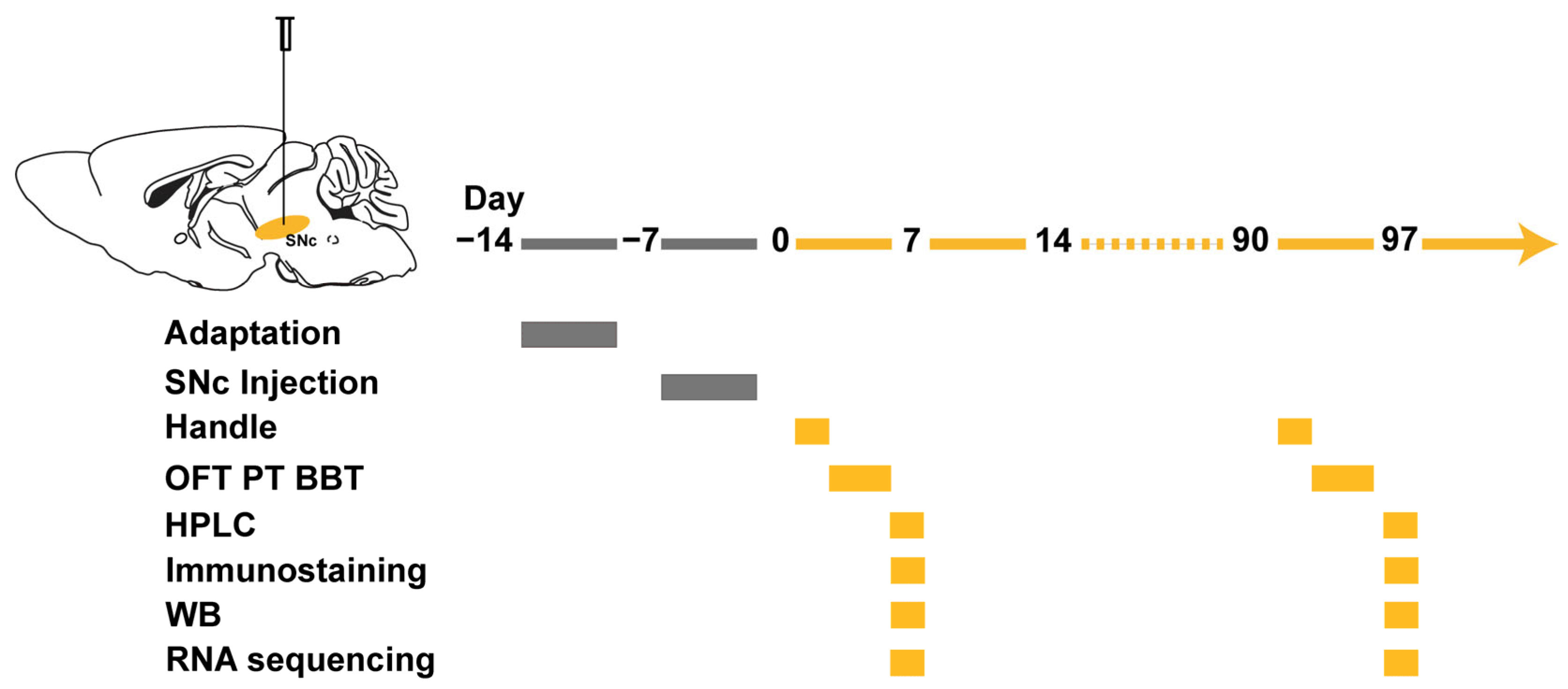 Biomedicines 11 02483 g001