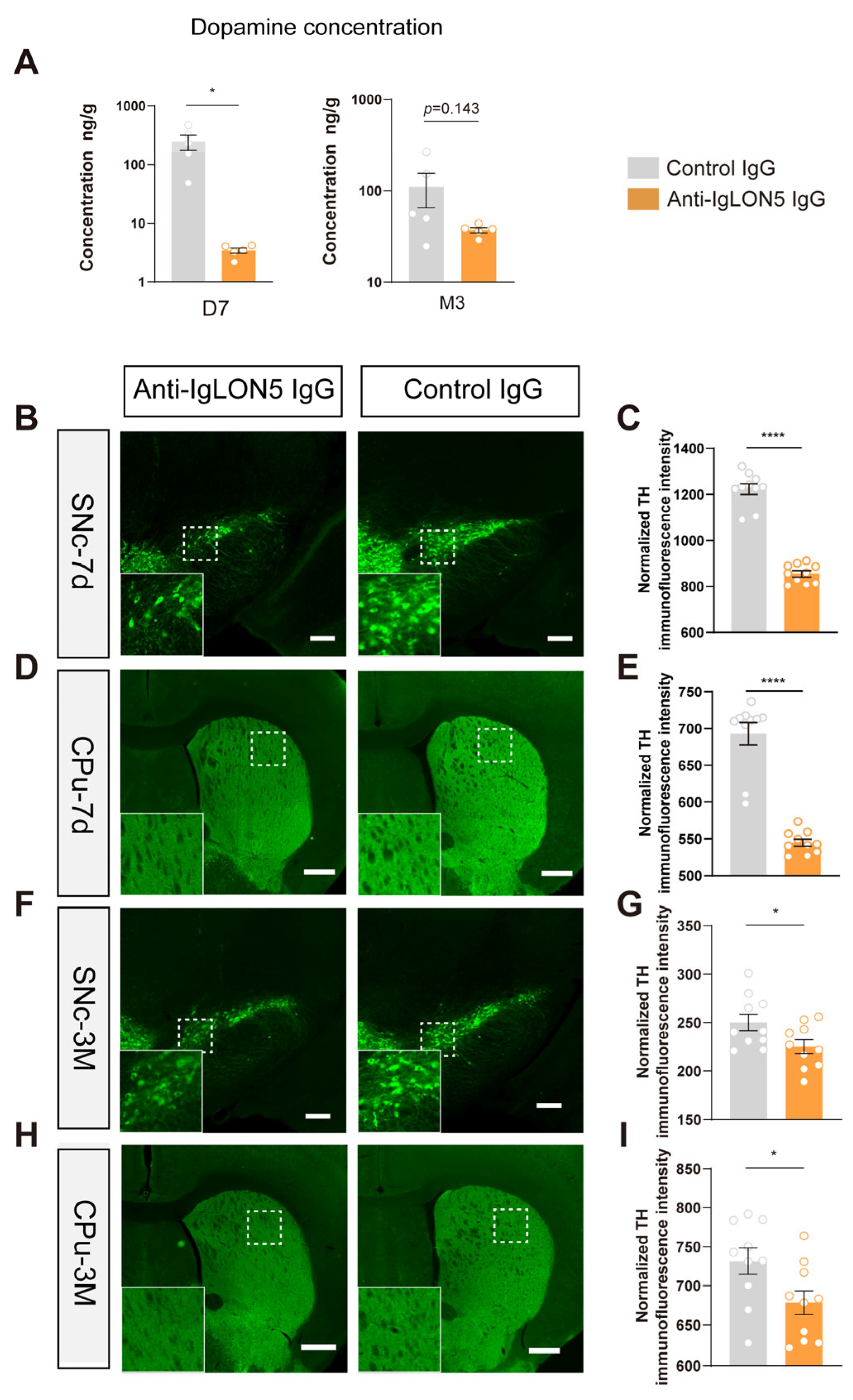Biomedicines 11 02483 g003