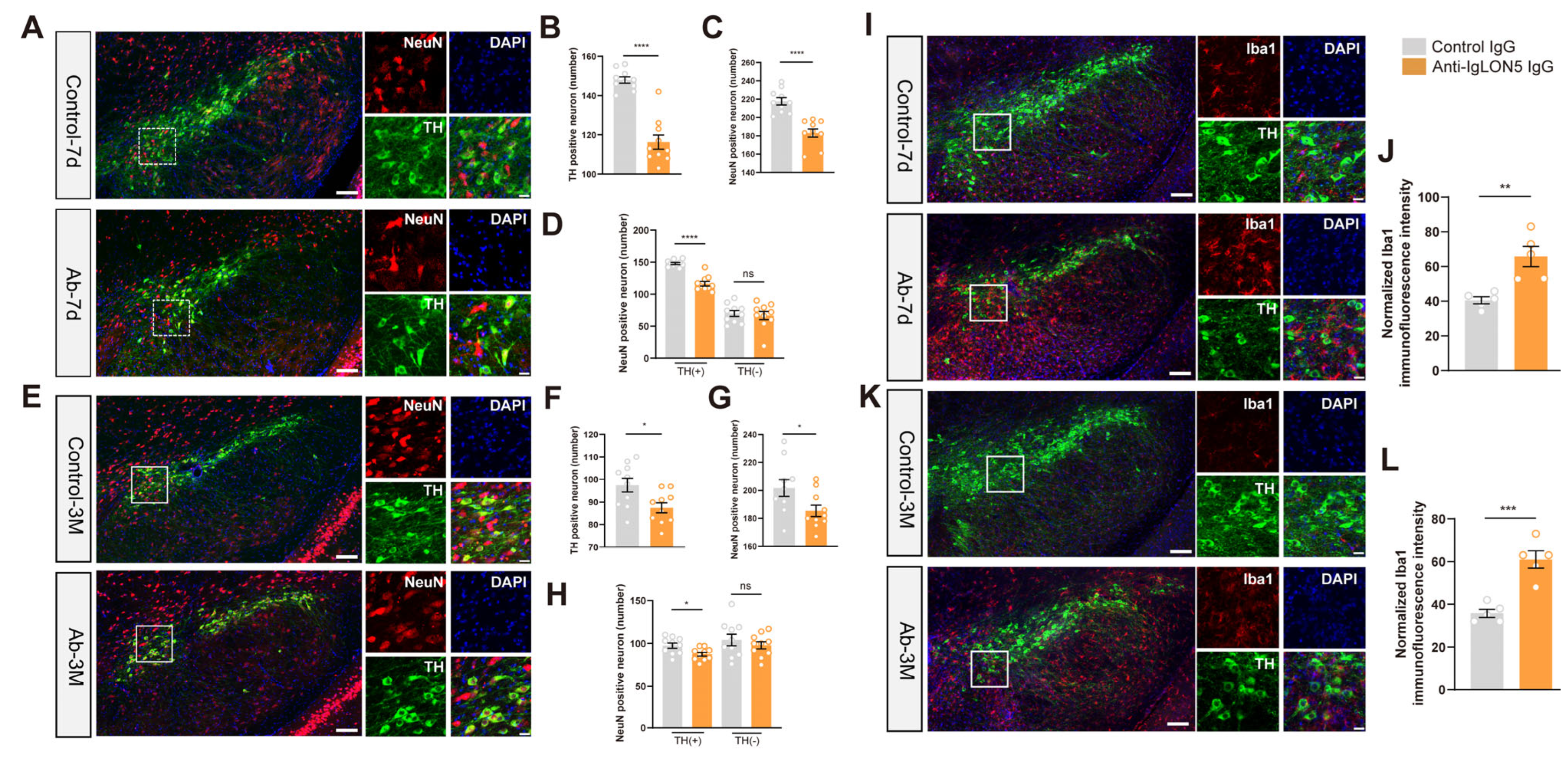 Biomedicines 11 02483 g004