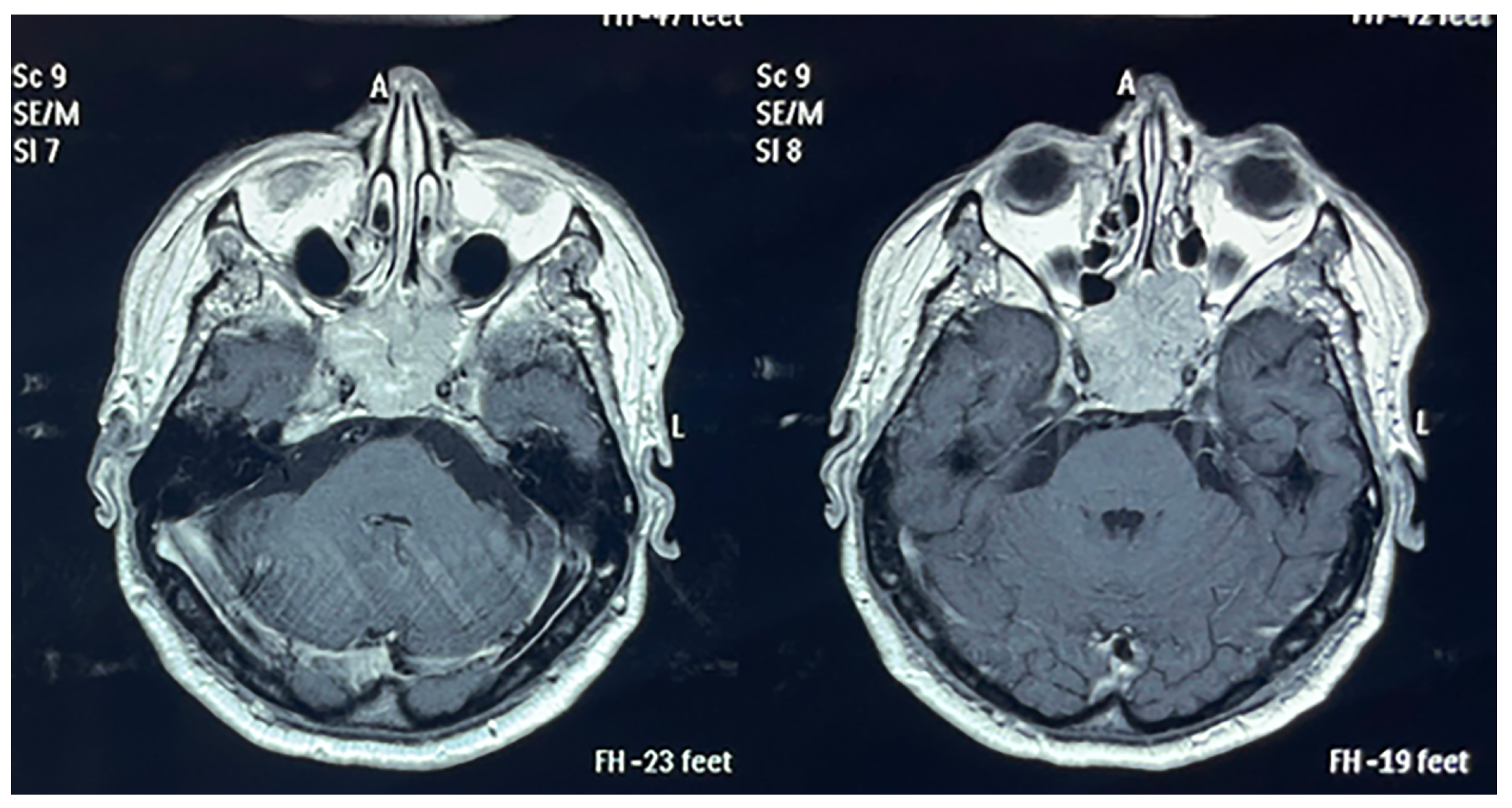 Biomedicines 11 02485 g001