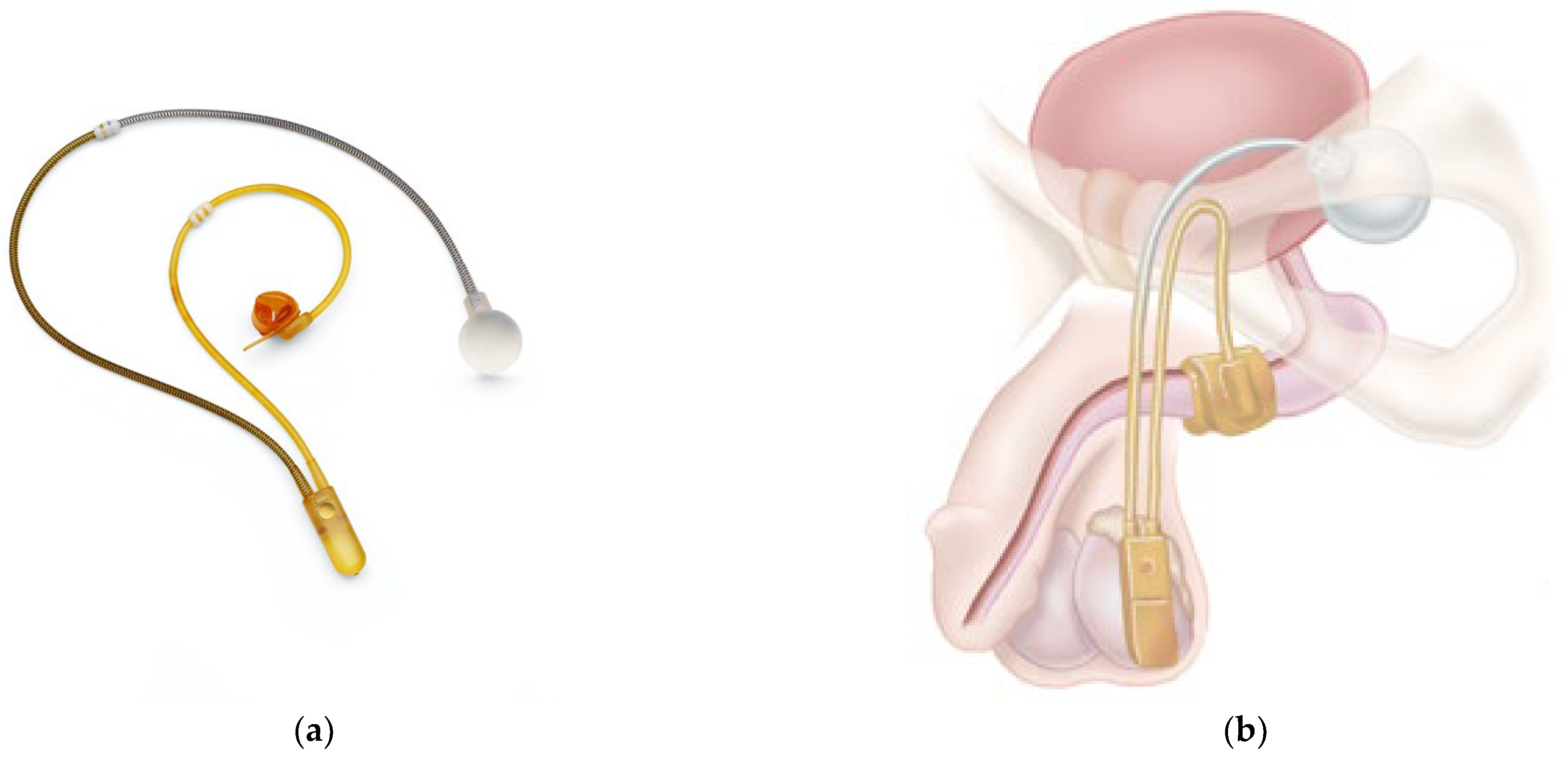 Biomedicines 11 02486 g010 Biomedicines 11 02486 g010