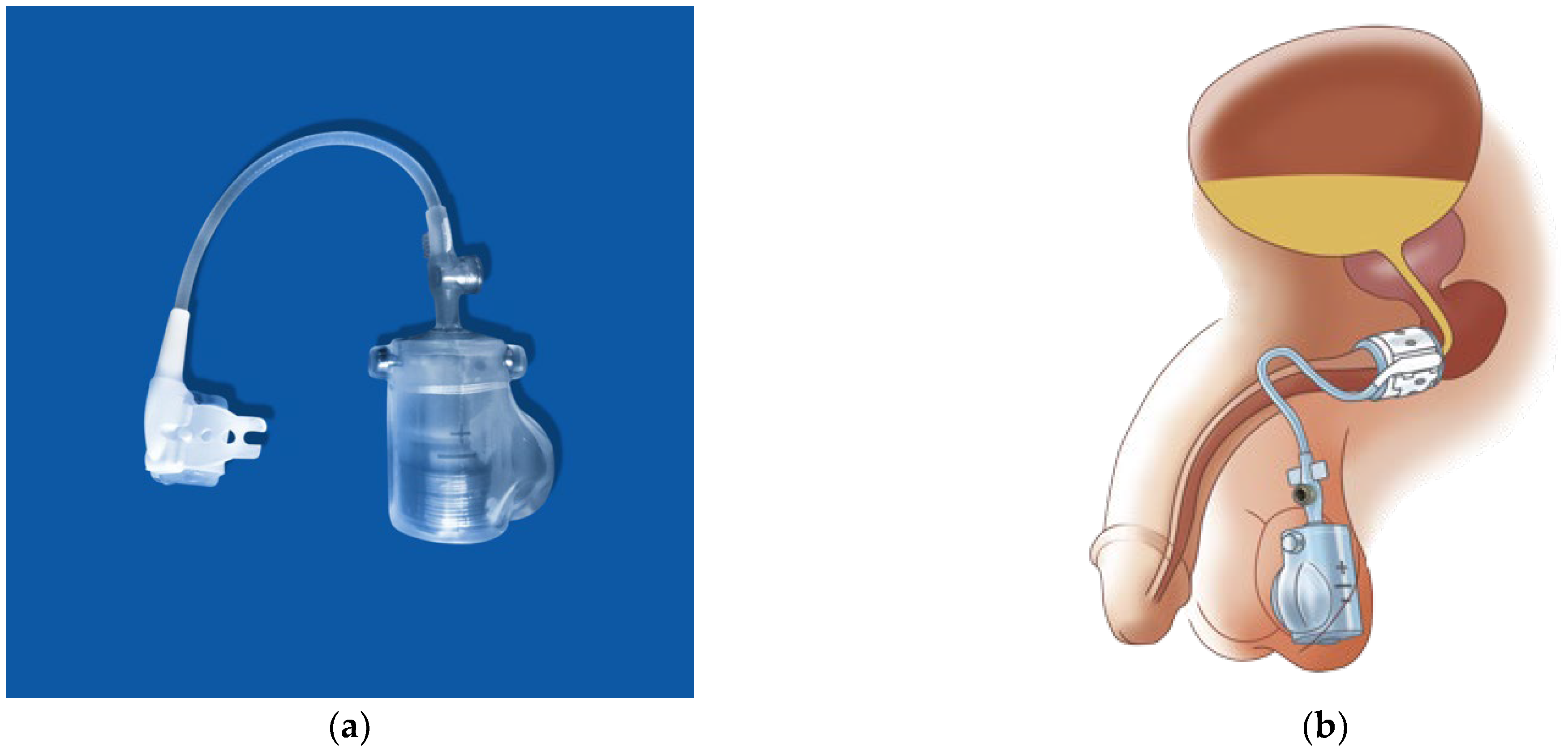 Biomedicines 11 02486 g011 Biomedicines 11 02486 g011