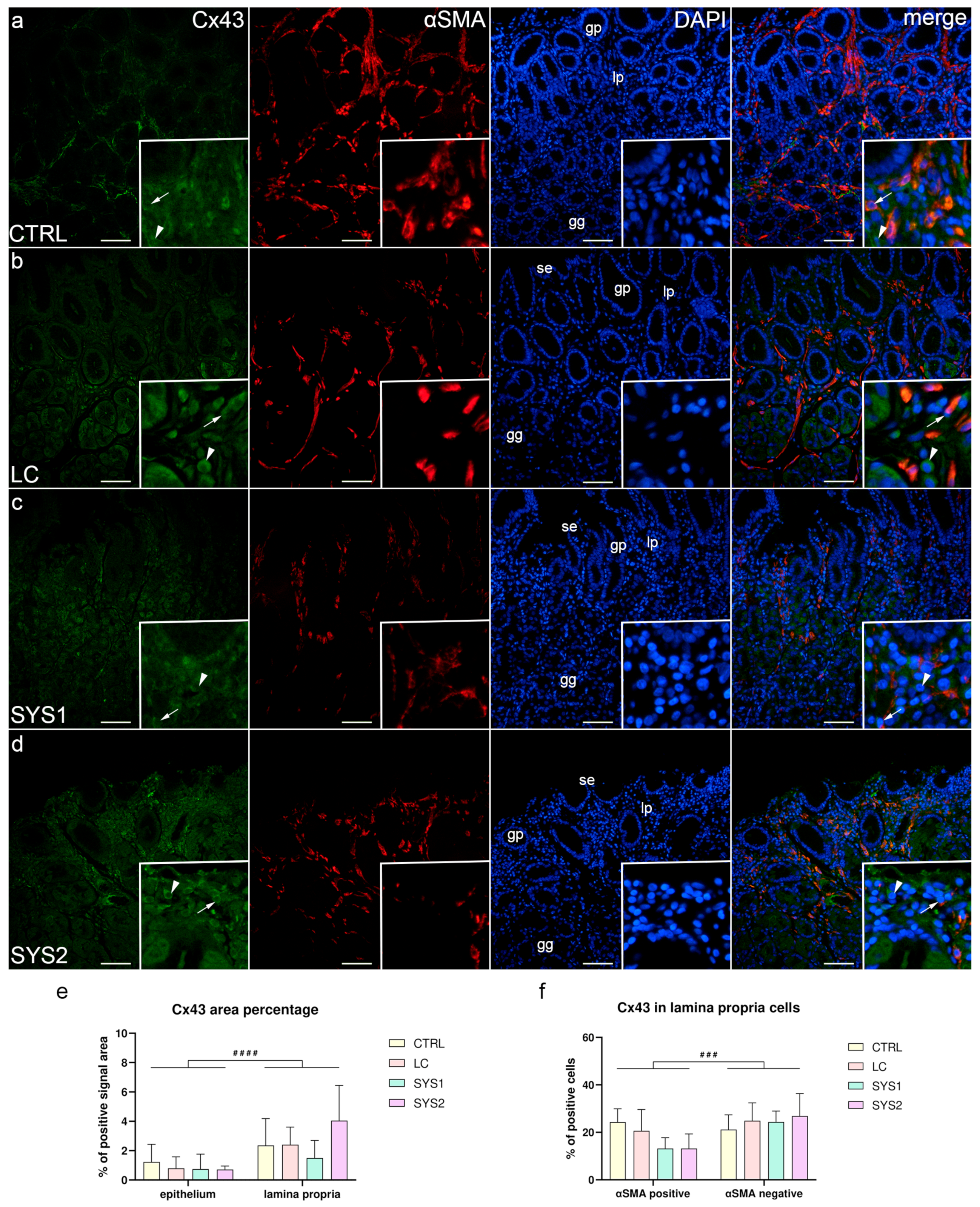 Biomedicines 11 02487 g003