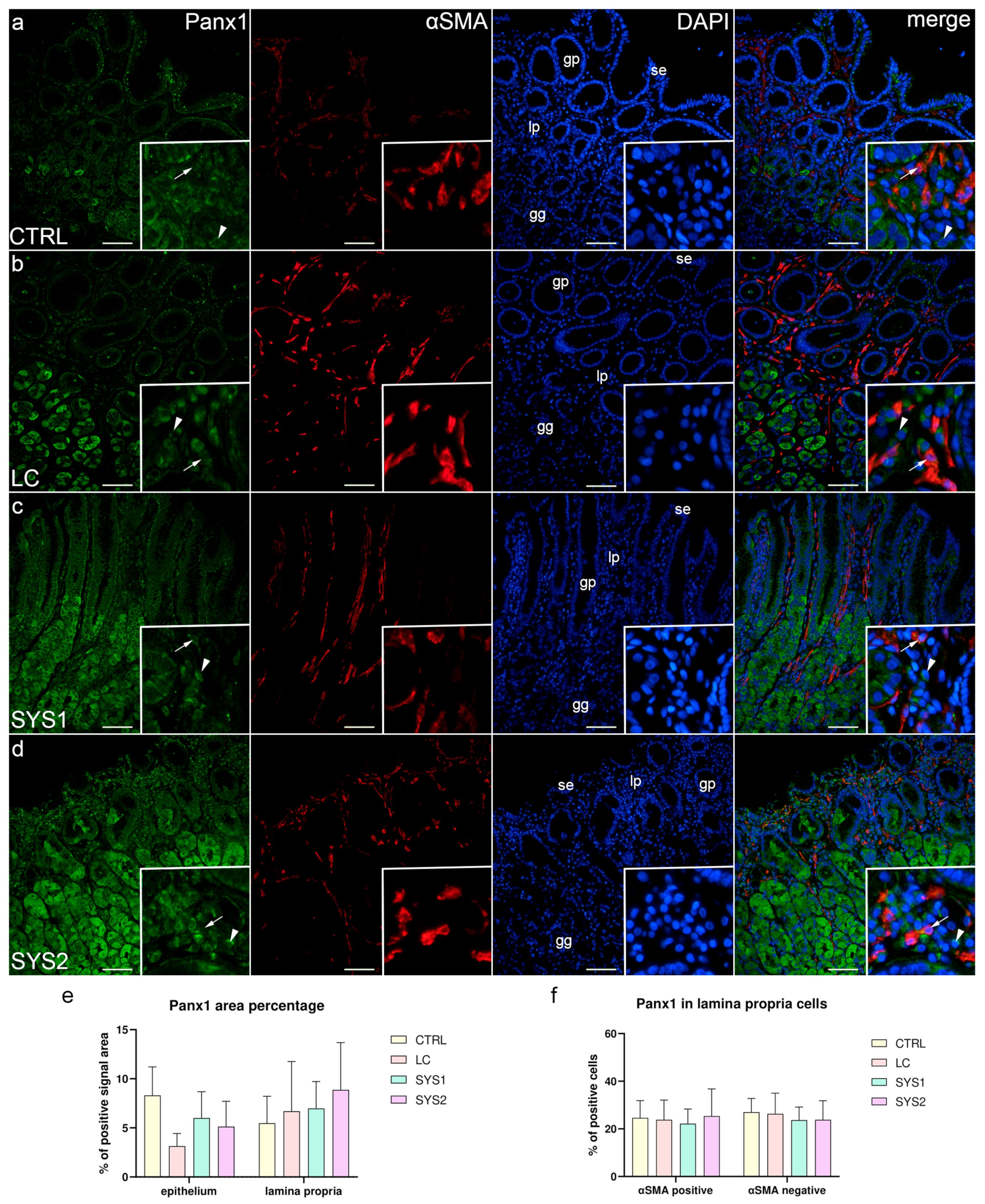 Biomedicines 11 02487 g004