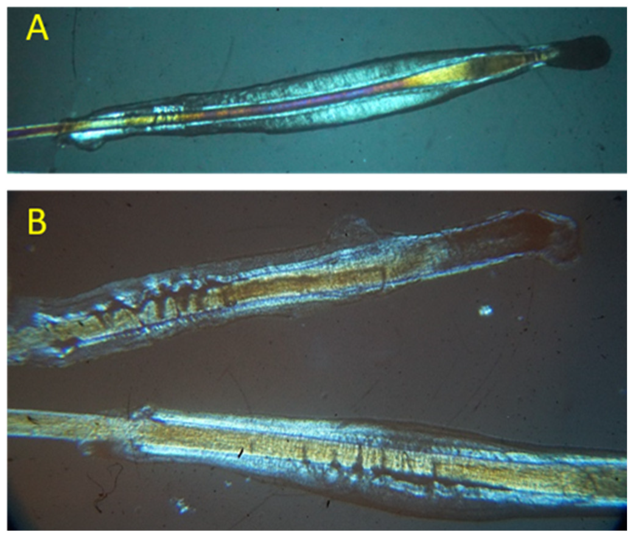 Biomedicines 11 02493 g001