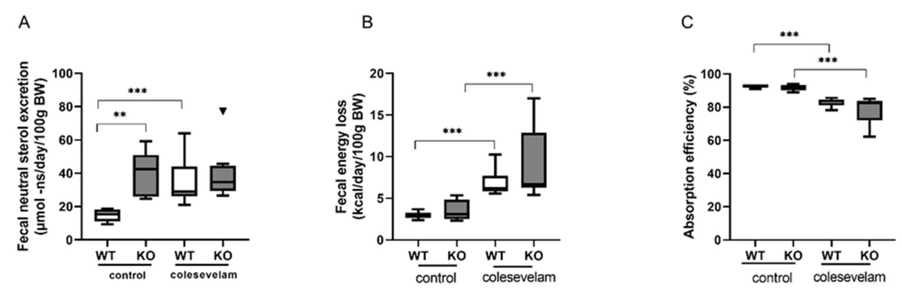 Biomedicines 11 02495 g005