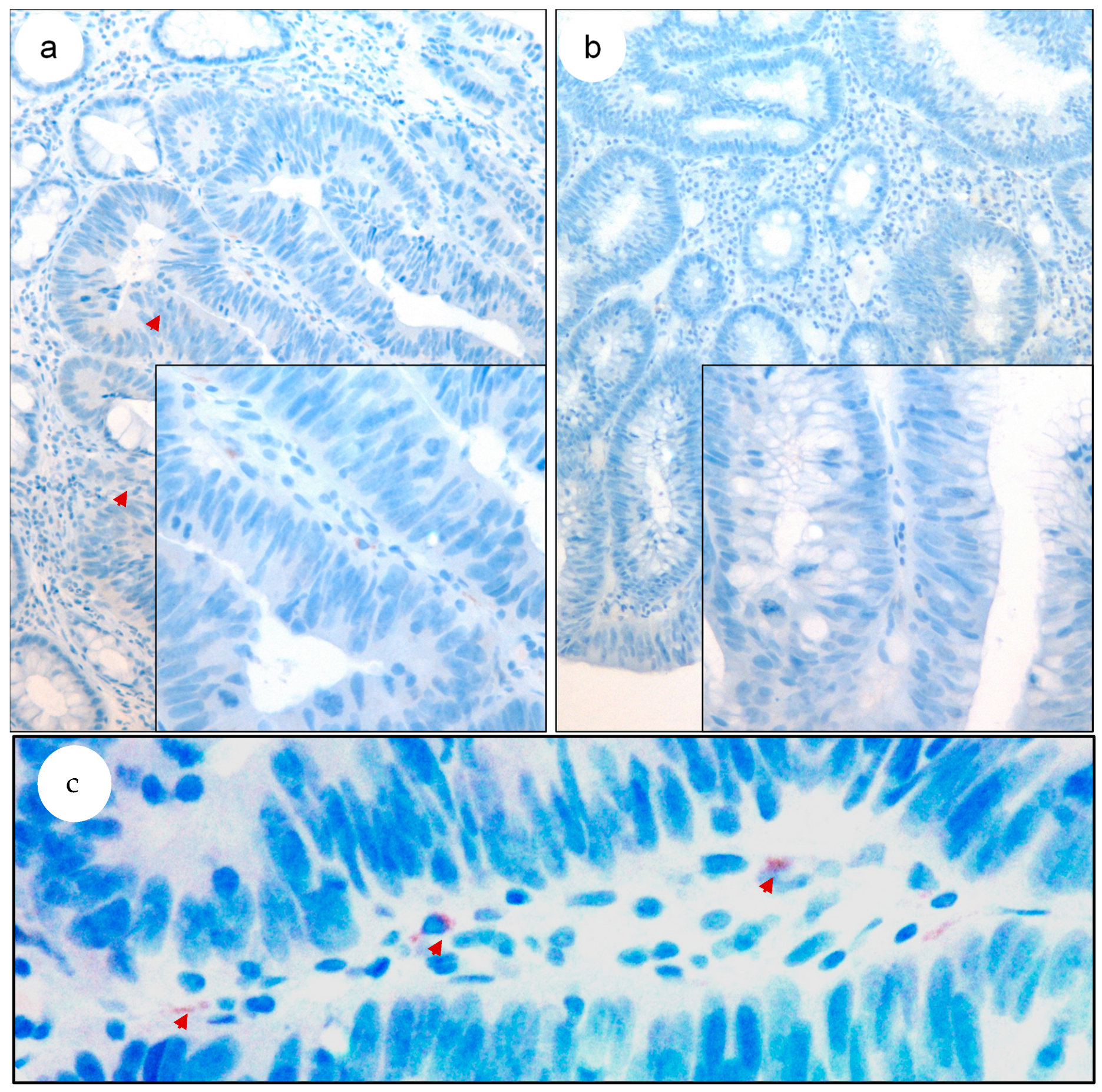 Biomedicines 11 02496 g003 Biomedicines 11 02496 g003